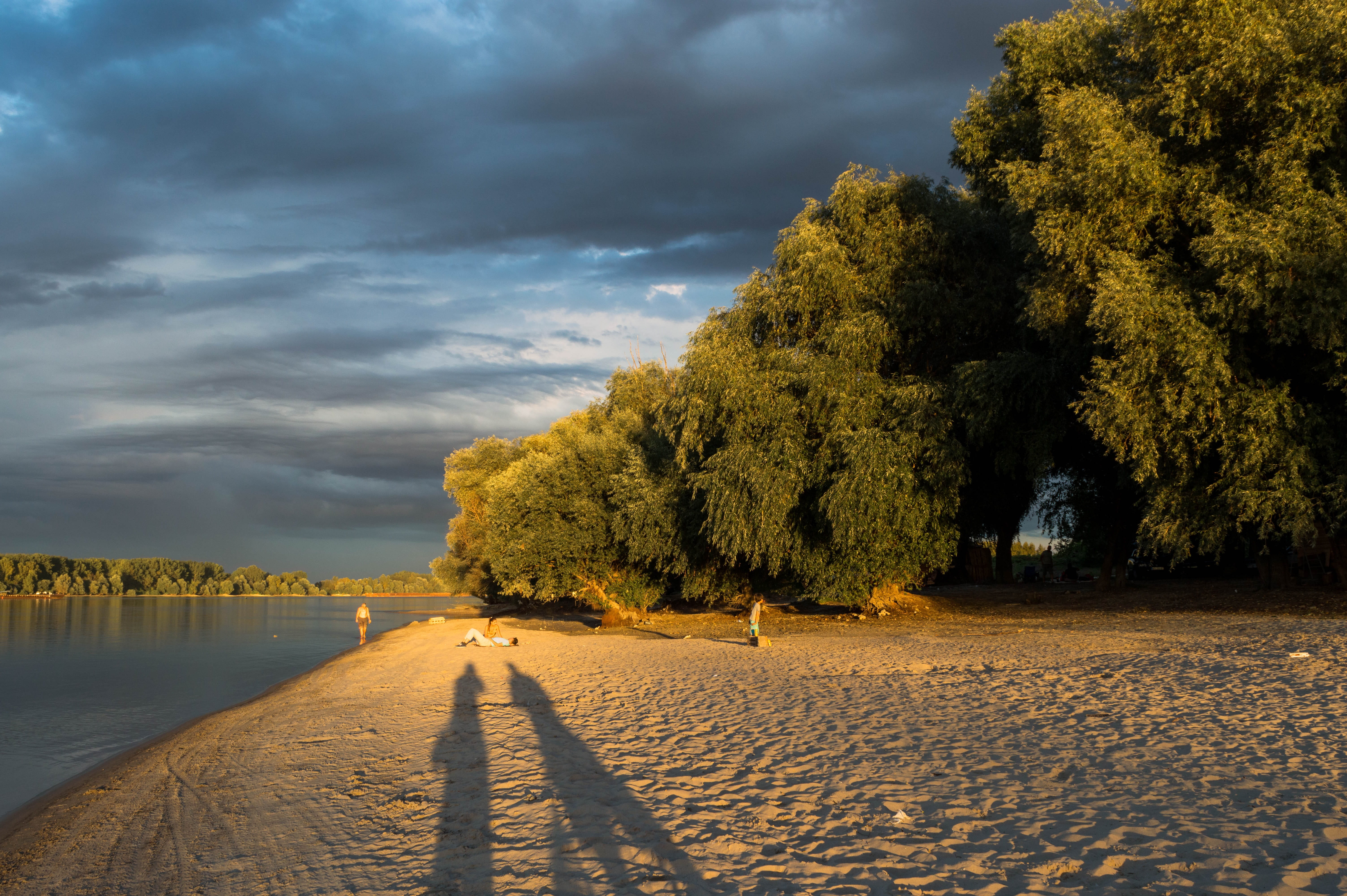 water, scenics - nature, danube, europe, 5K, nature, treelined, sky, direction, transportation, plant, outdoor, sunset, no people, coast, tranquility, HD Wallpaper