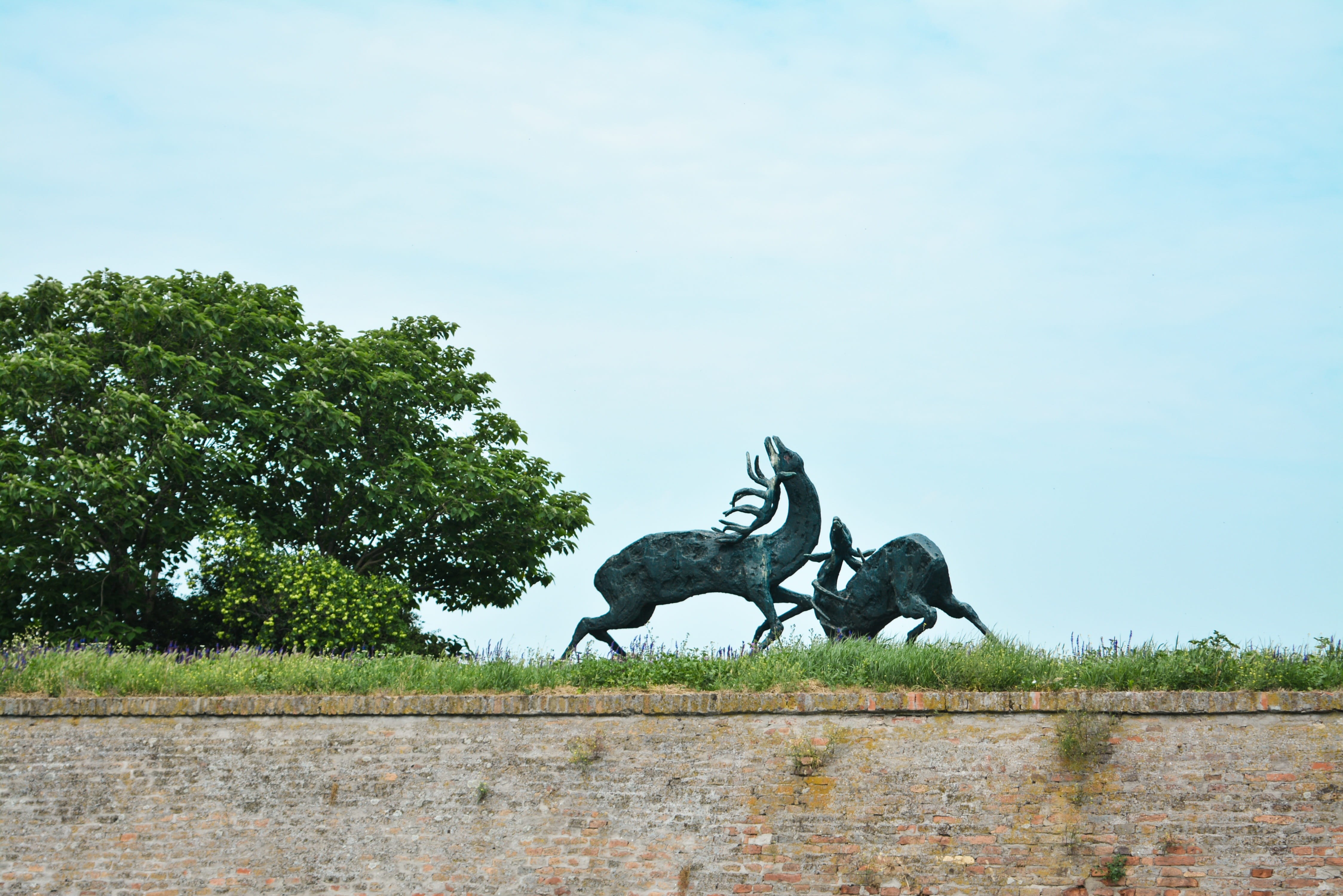 srbija, plant, mammal, creativity, growth, petrovaradin, nature, sculpture, outdoors, animal wildlife, serbia, craft, human representation, 4K, representation, HD Wallpaper