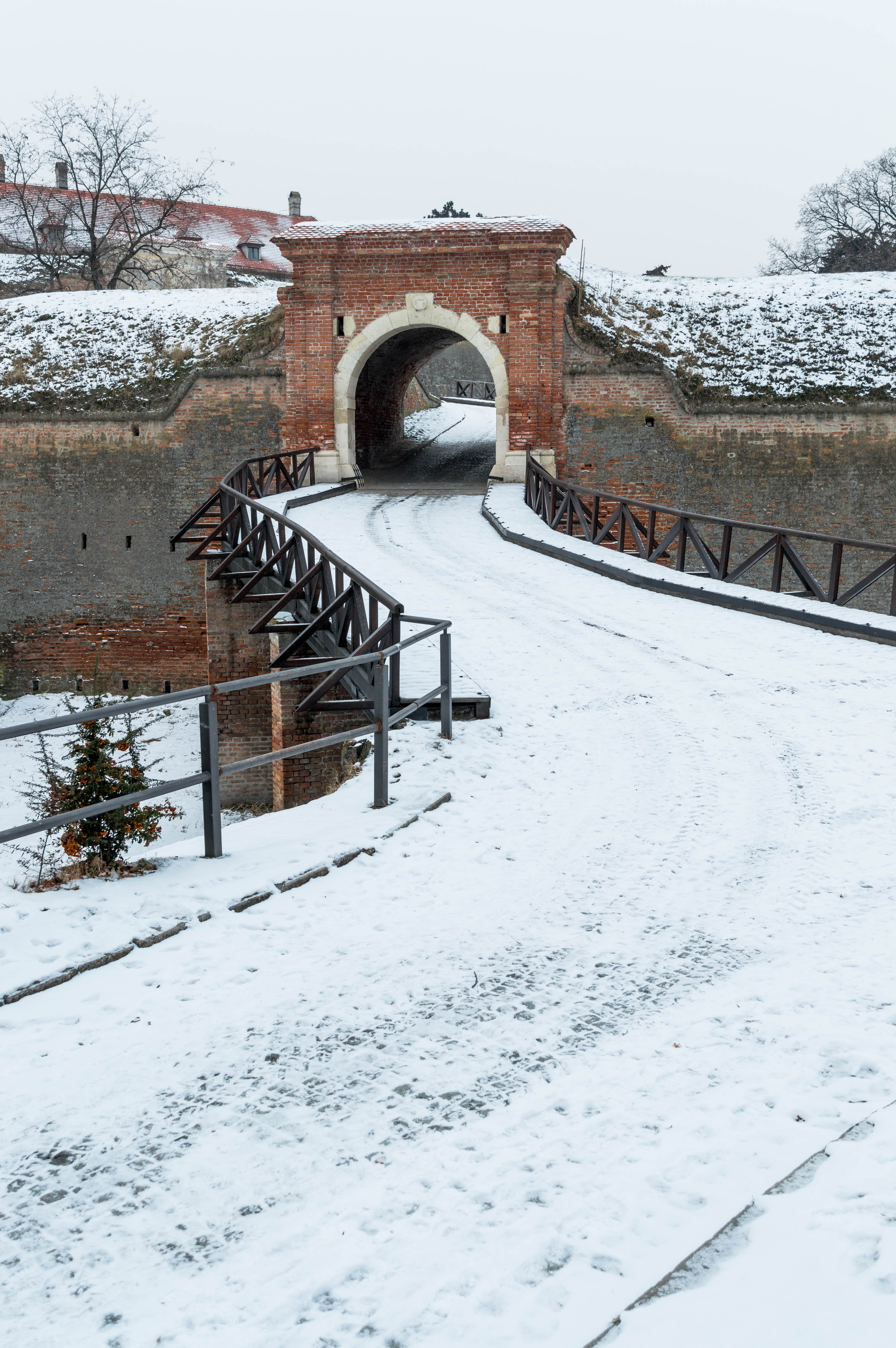 old, historical, serbia, tree, architecture, railing, vacation, building exterior, fortress, 5K, winter, city, europe, touristic, bridge, plant, cold temperature, Phone HD Wallpaper