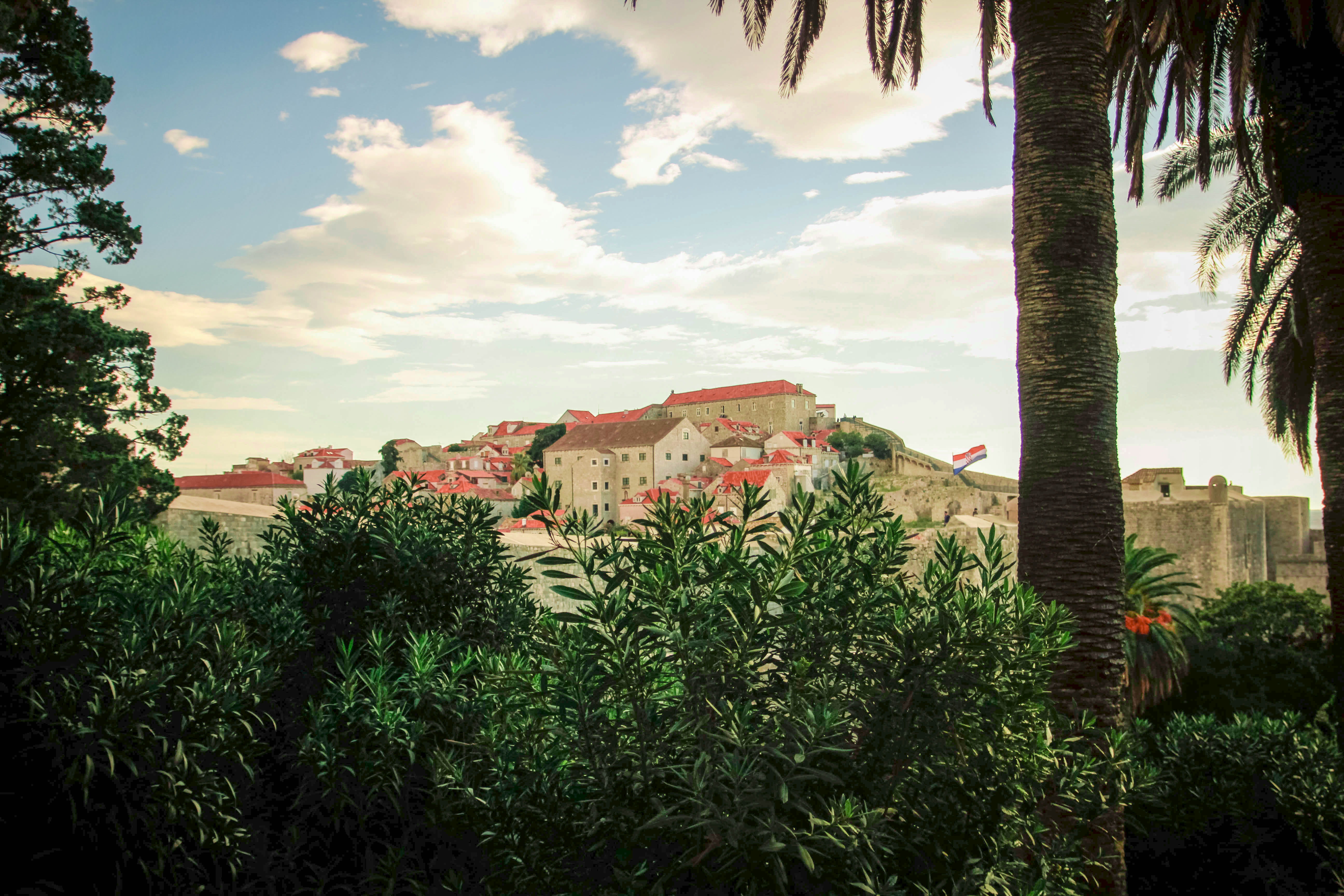 palms, sun, building, old town, town, 5K, townscape, hrvatska, architecture, sky, tree, cloud - sky, growth, travelling, residential district, day, travel destinations, HD Wallpaper