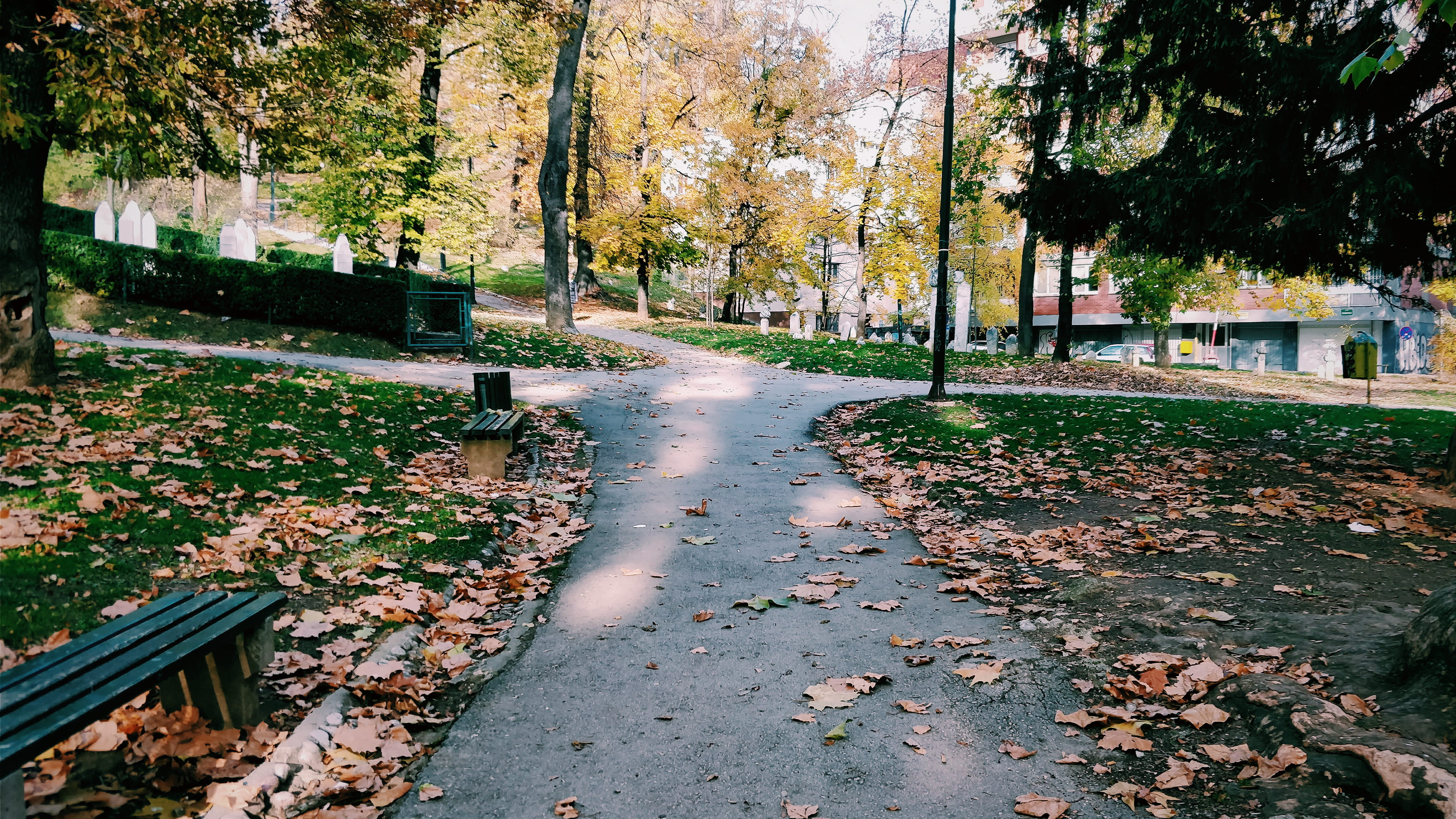 fall, plant, no people, park, trees, outdoors, walkday, leaves, park - man made space, tree, nature, 4K, architecture, footpath, the way forward, autumn, HD Wallpaper