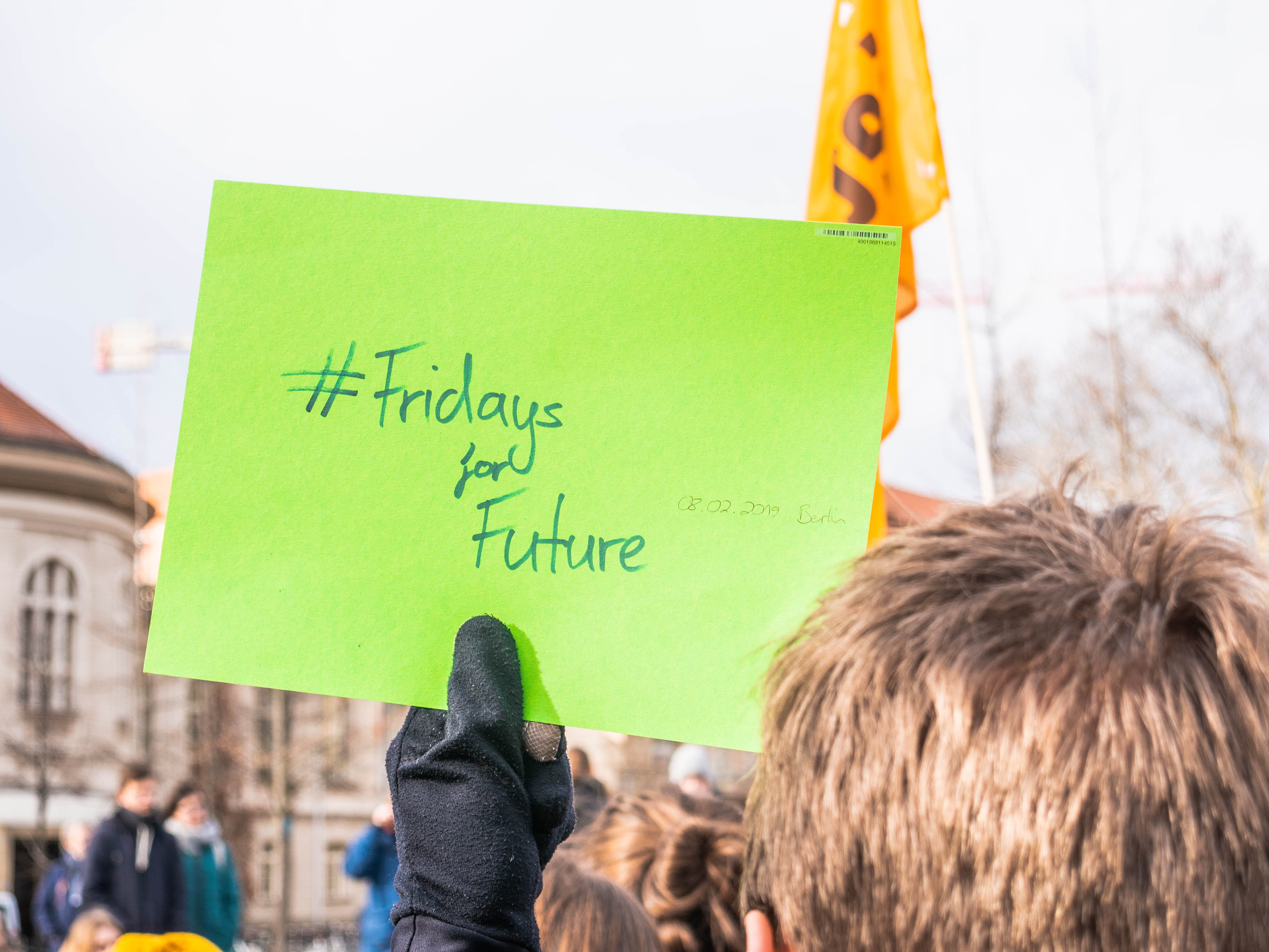 clothing, green, future, close-up, western script, hat, green color, reading, people, paper, sign, day, text, communication, placard, photography, female, HD Wallpaper