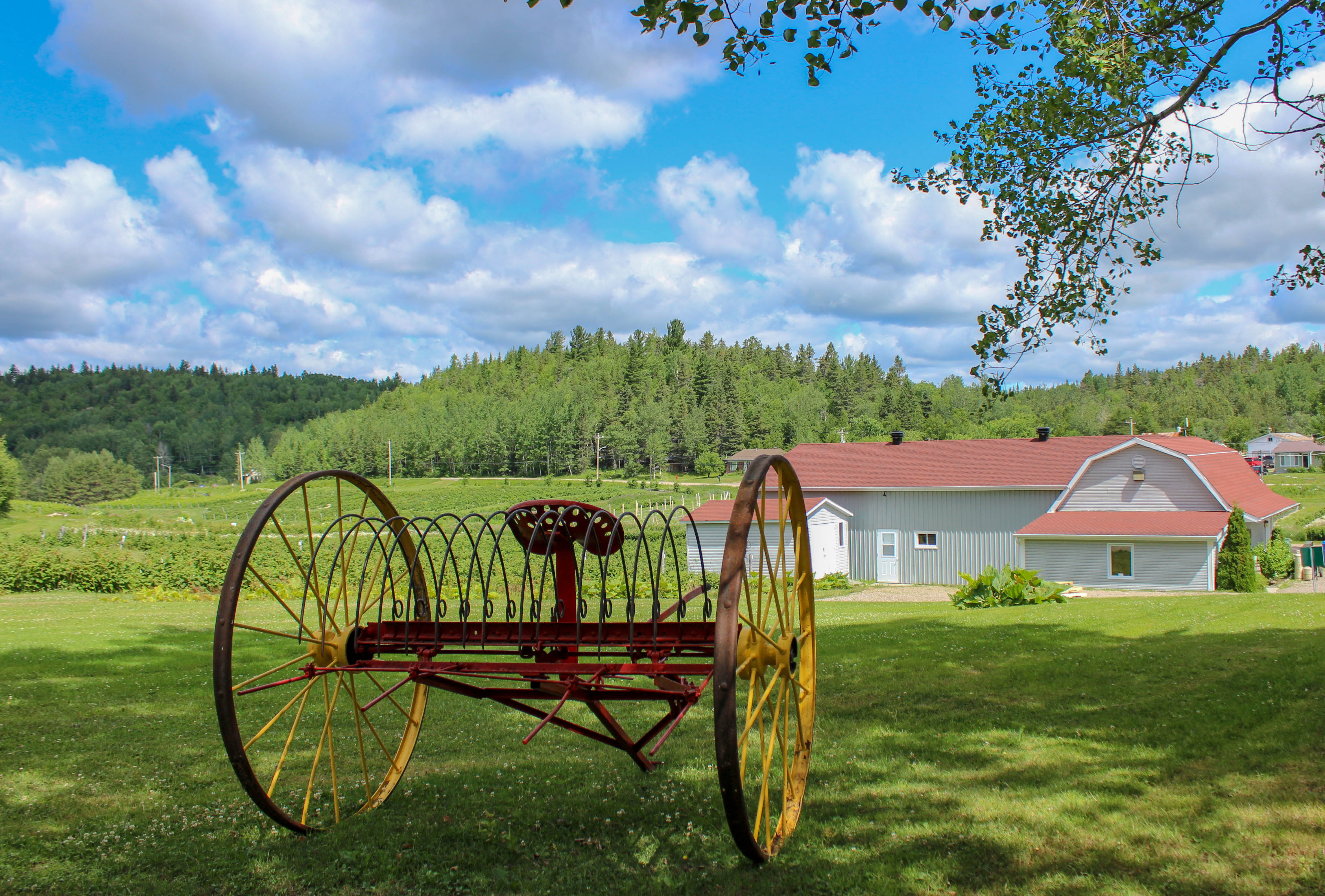 bicycle, beauty in nature, rural, sky, tranquil scene, 4K, green, farm, vehicle, day, wooden, field, land, cloud - sky, landscape, outdoors, built structure, HD Wallpaper