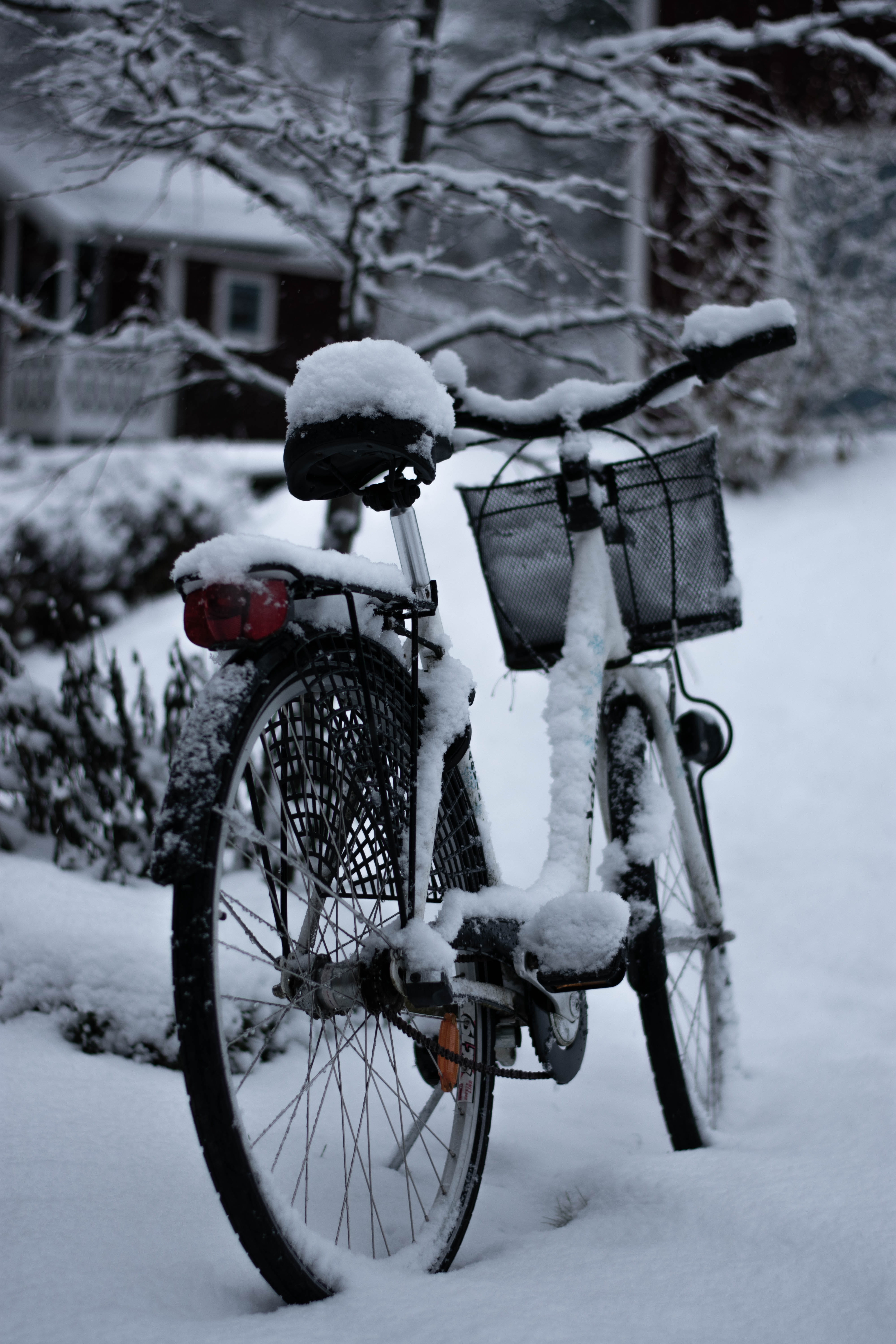 cold temperature, mountain bike, land vehicle, transportation, mode of transportation, bicycle, focus on foreground, street, stationary, ice, covered, snowing, Phone HD Wallpaper