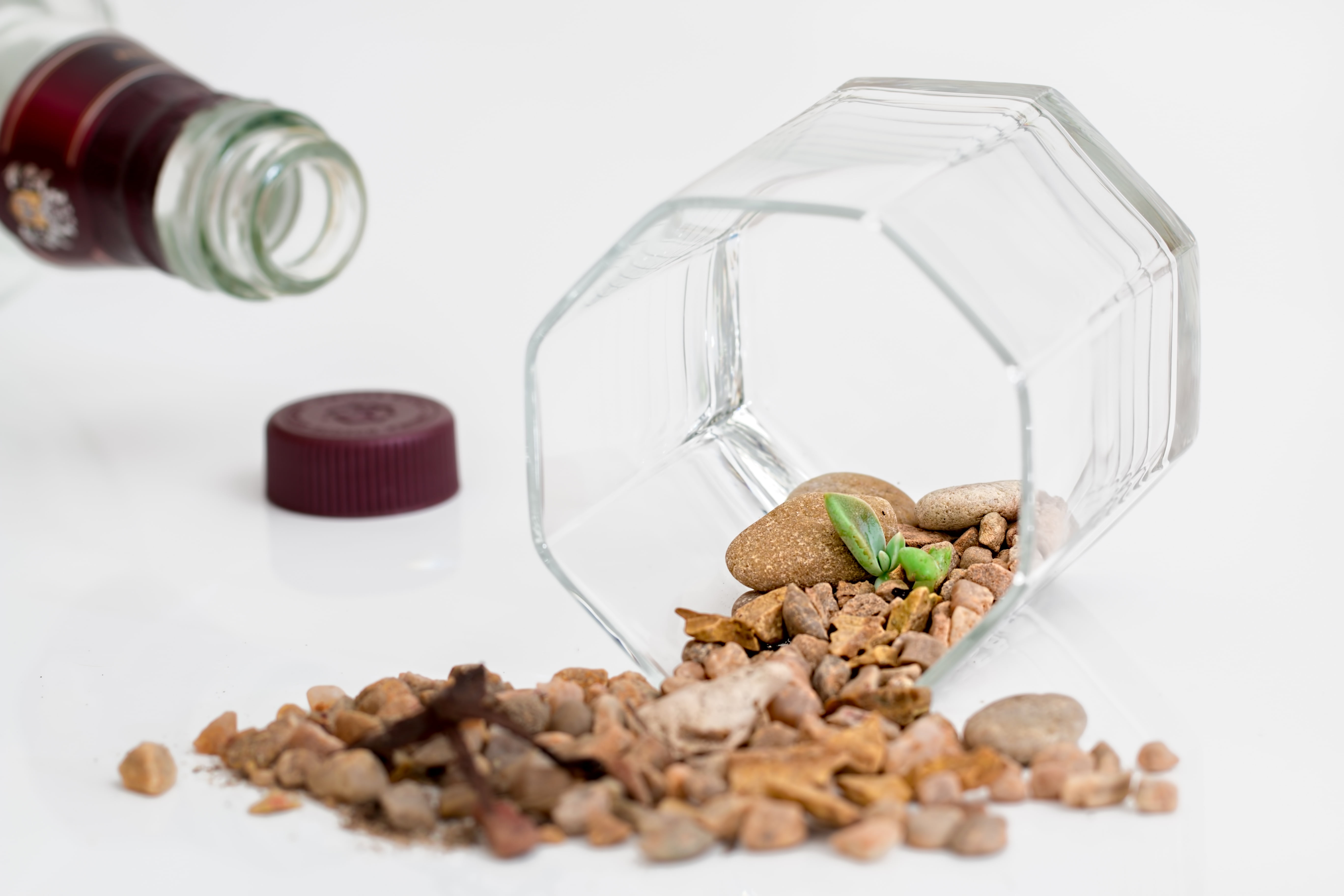 dry, earth, food, greenhouse effect, sweet food, refreshment, arid, cookie, transparent, temperature, conservation, food and drink, eco-village, indoors, HD Wallpaper