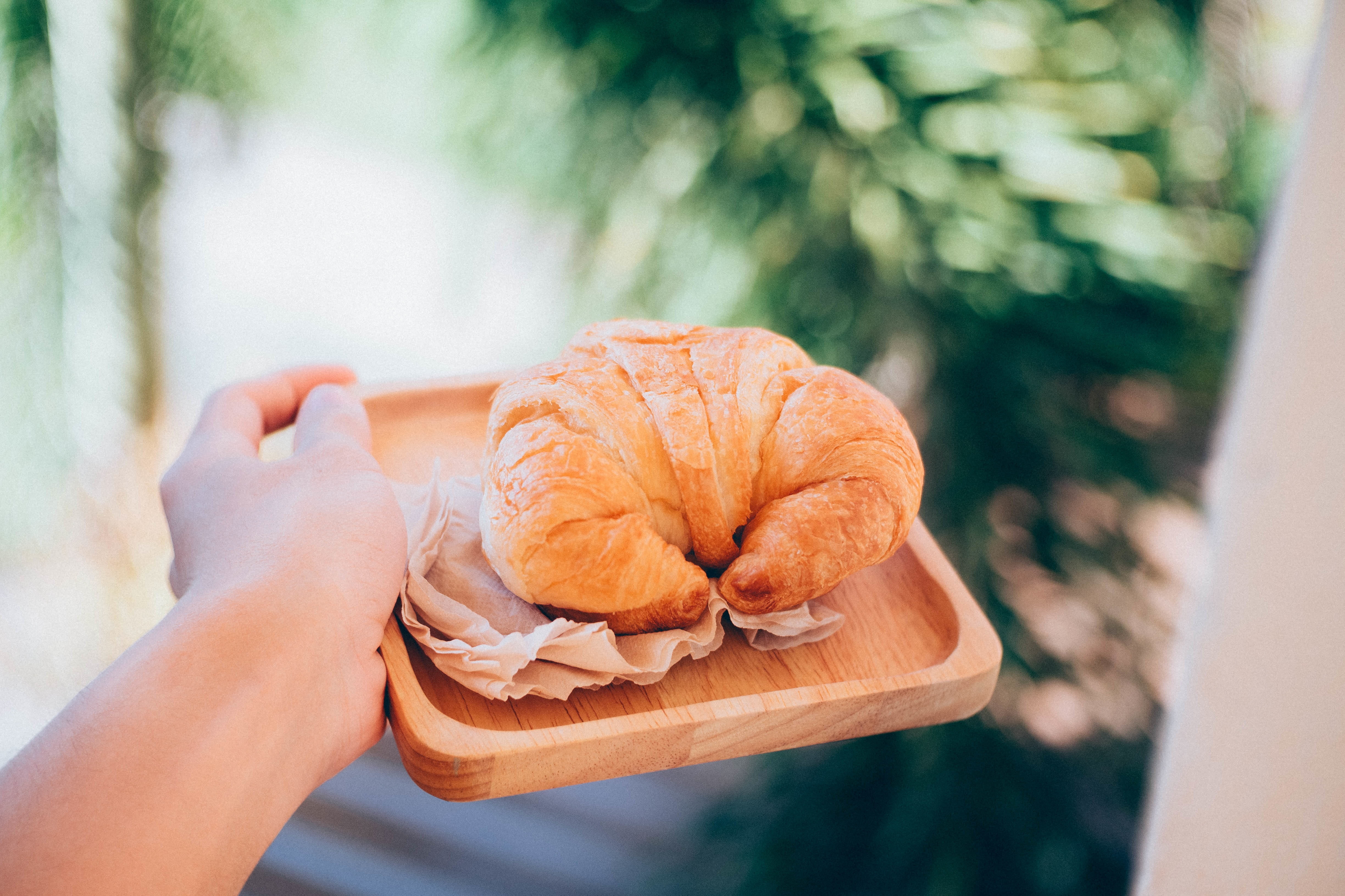 brown, square, food and drink, hand, focus on foreground, plant, one woman only, person, day, food, human body part, bake, holding, pastry, women, 4K, HD Wallpaper