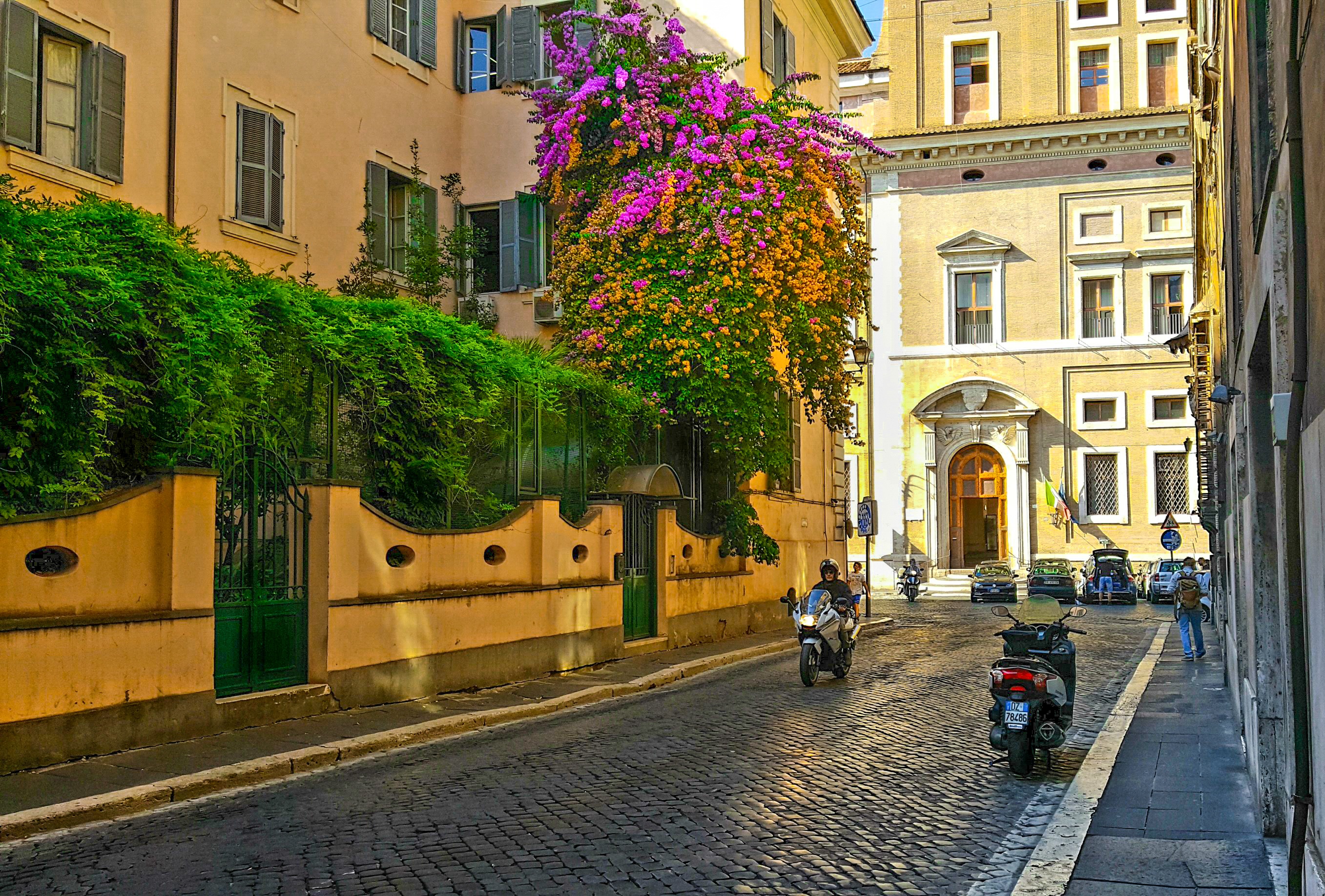 scooter, 2K, plant, day, italian, flower, road, city, building, mode of transportation, roman, outdoors, men, car, real people, old, transportation, city life, HD Wallpaper