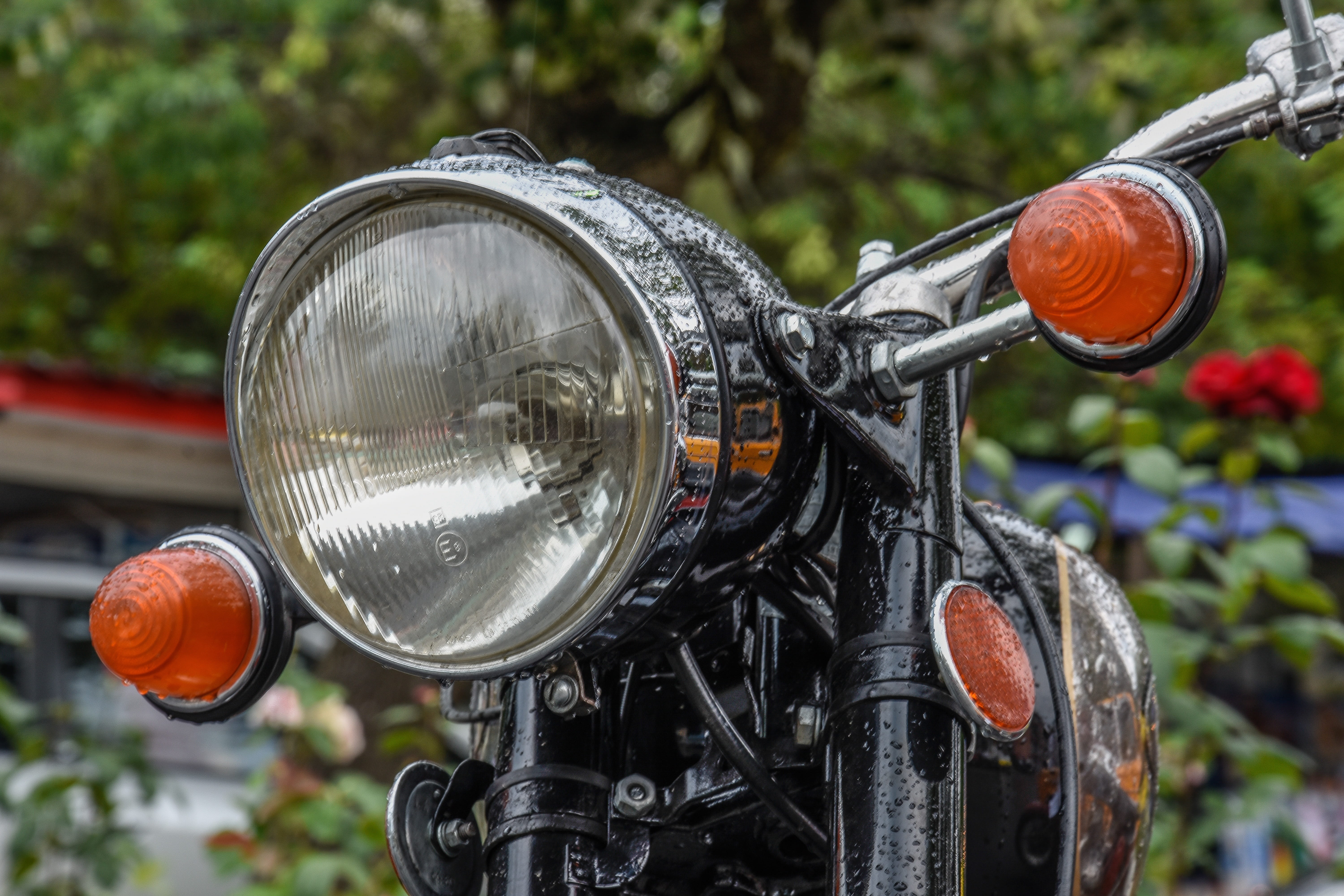 old-fashioned, Old, design, tree, custom, close-up, nature, mode of Transport, classic, retro Styled, symbol, transportation, old bike, retro, metal, engine, HD Wallpaper