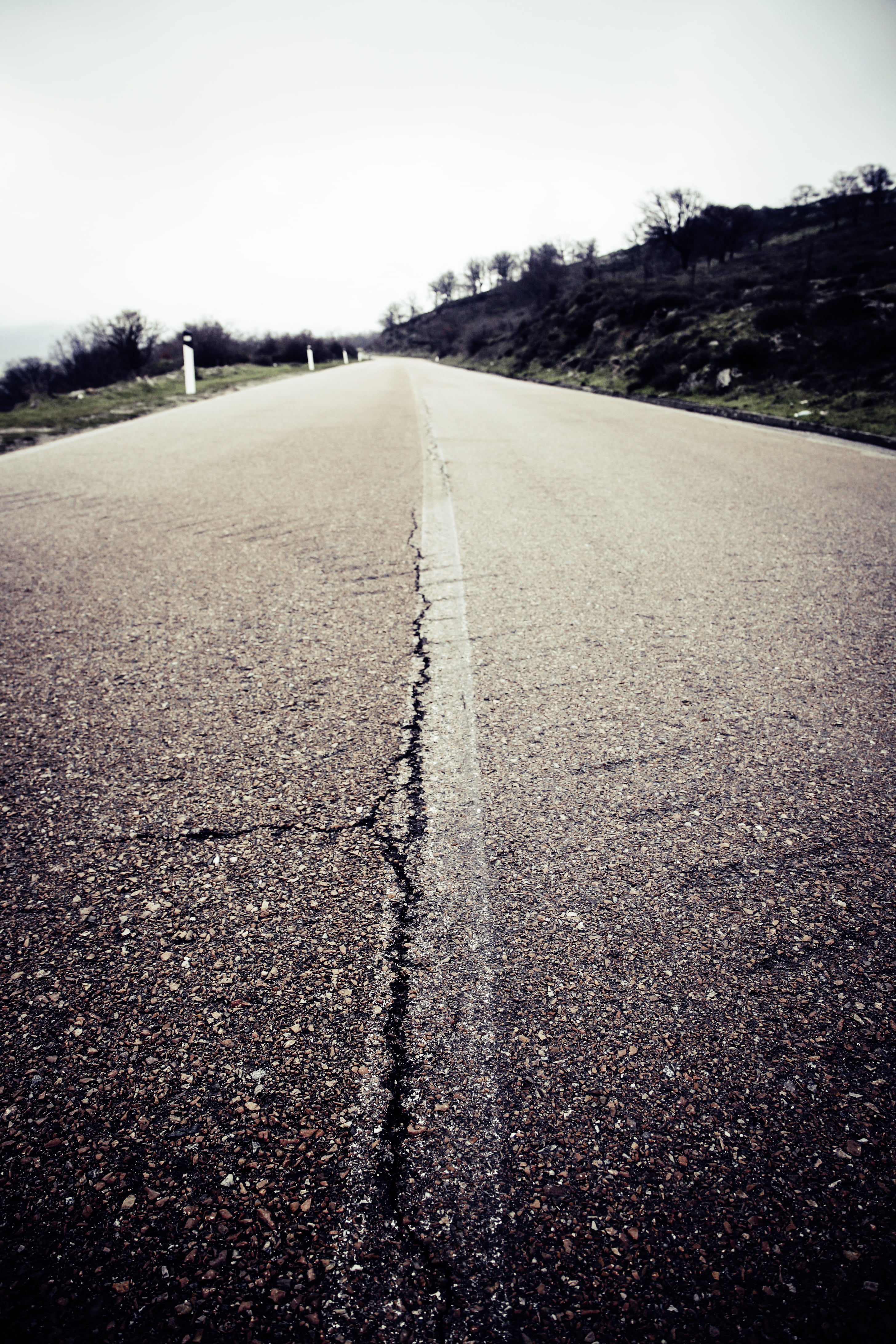 transportation, tranquility, plant, road, tree, sky, empty road, the way forward, tranquil scene, surface level, nature, long, sign, asphalt, direction, Phone HD Wallpaper