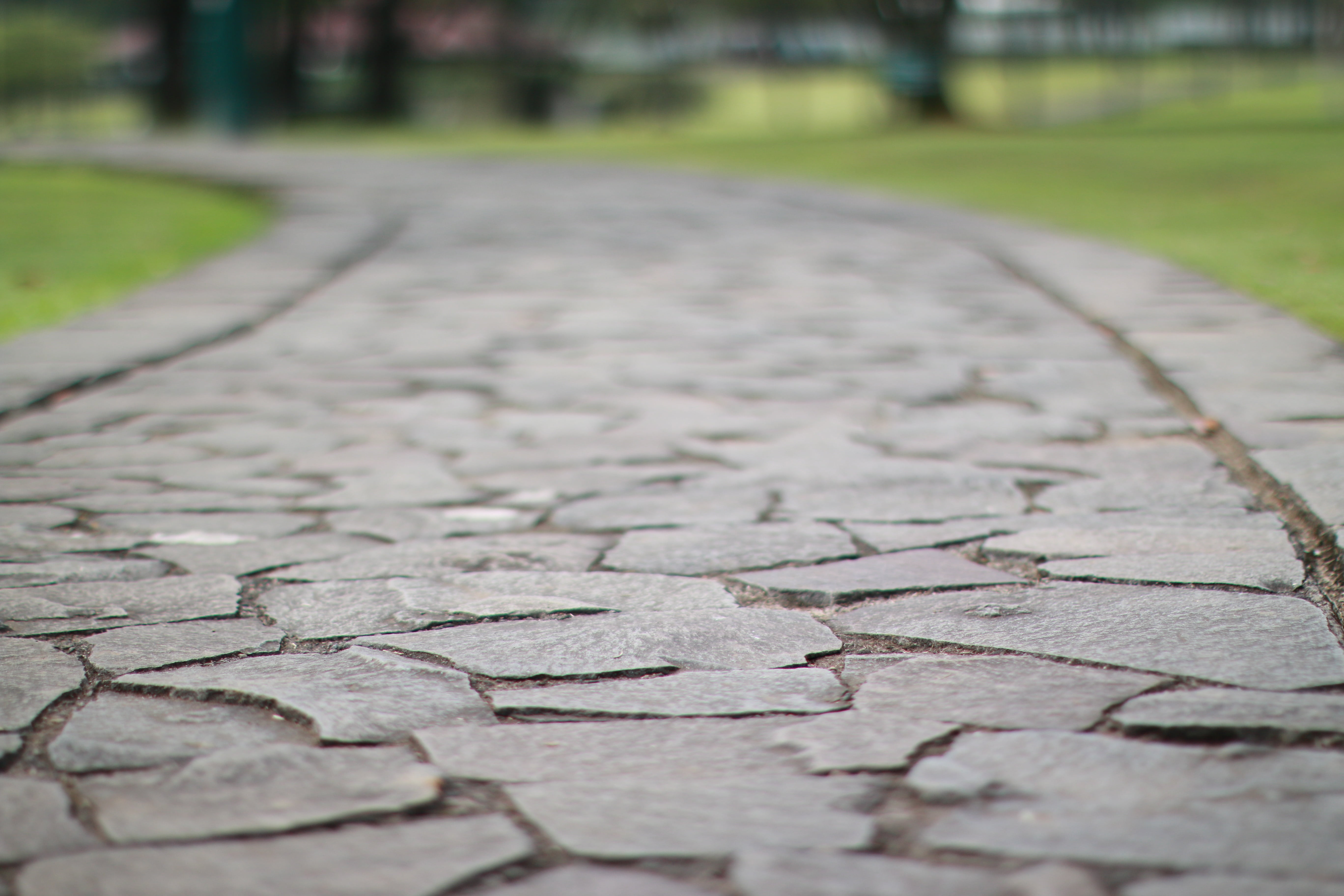 scenery, the way forward, forest, textured, cracked, close-up, street, no people, landscape, 5K, transportation, rural, selective focus, green, footpath, HD Wallpaper