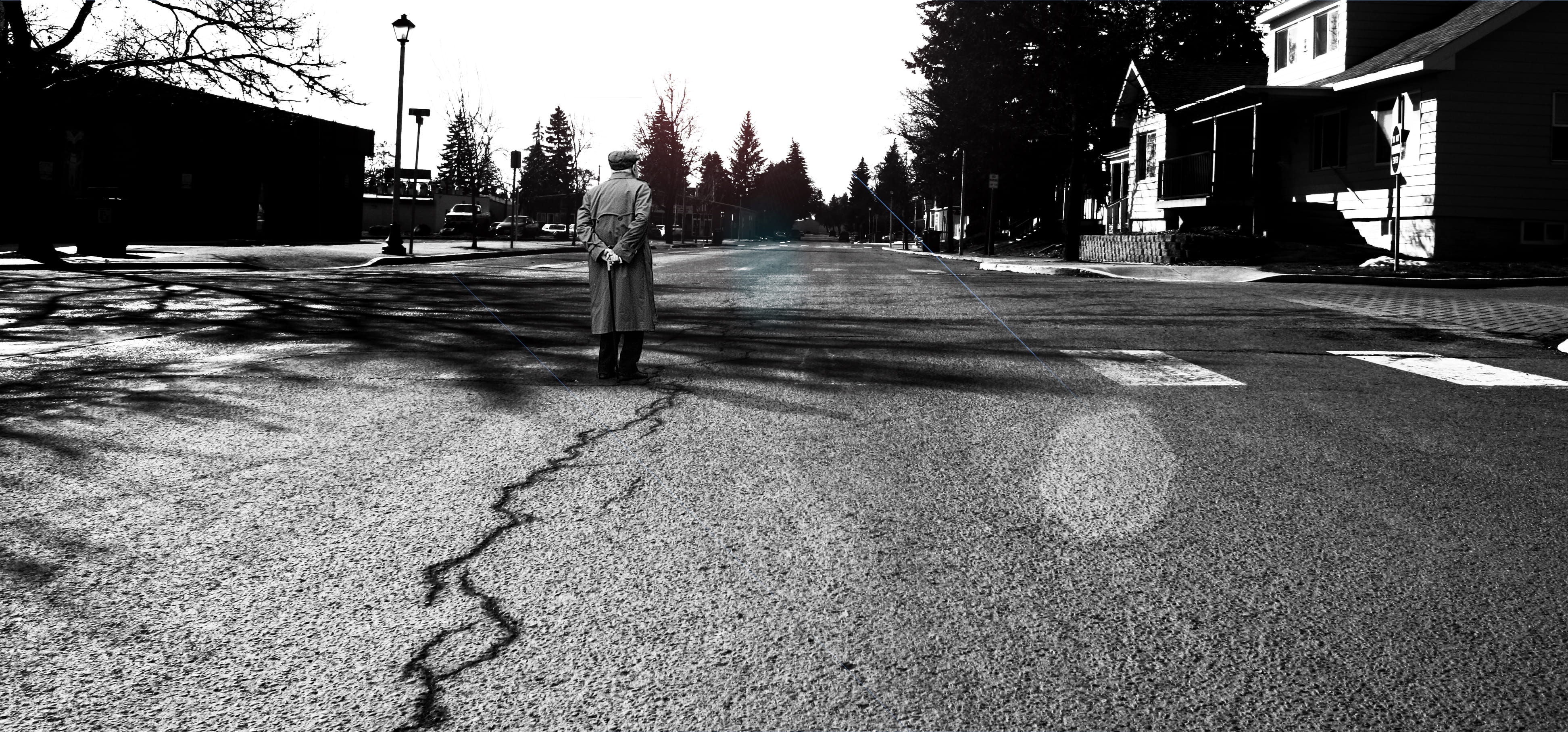 street, building exterior, no people, black and white, person, city, grayscale, street light, direction, shadow, man, nature, day, road, tree, fall, outdoors, HD Wallpaper
