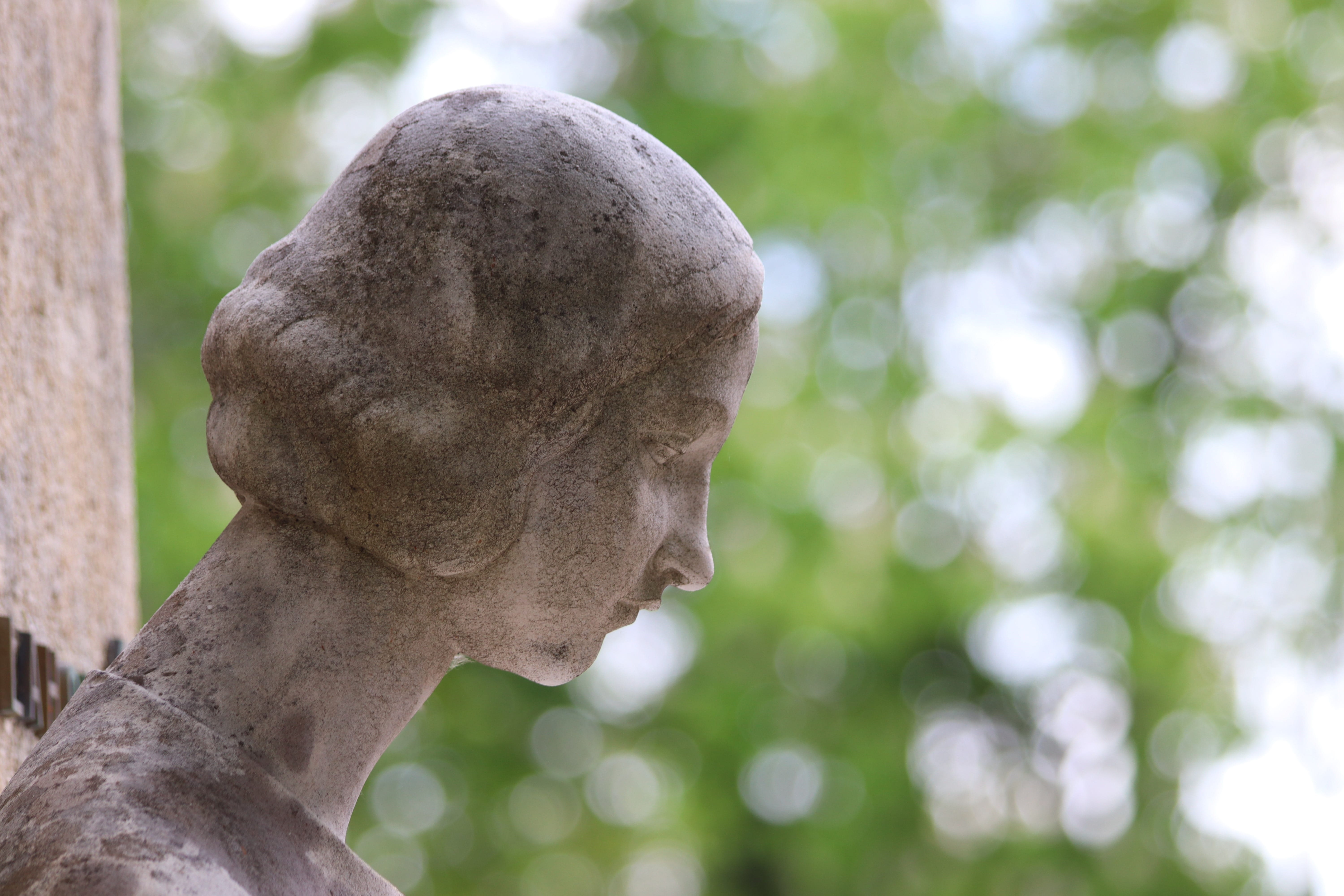 nature, profile view, 5K, focus on foreground, head, male likeness, cemetery mirogoj, outdoors, representation, history, sculpture, day, zagreb, art and craft, HD Wallpaper