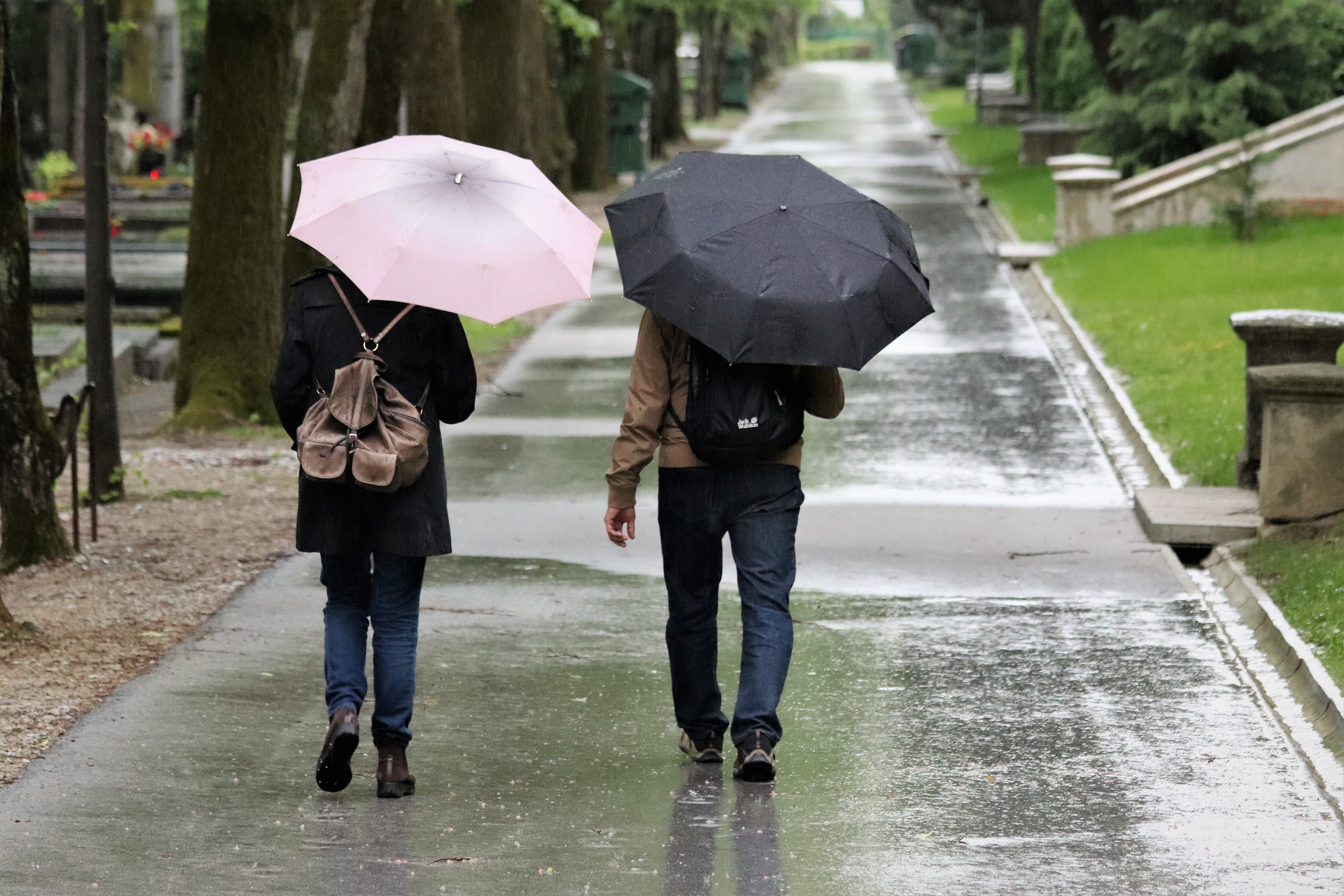 women, togetherness, water, umbrella, wet, monsoon, zagreb, two people, protection, love, cemetery mirogoj, couple - relationship, positive emotion, rain, HD Wallpaper