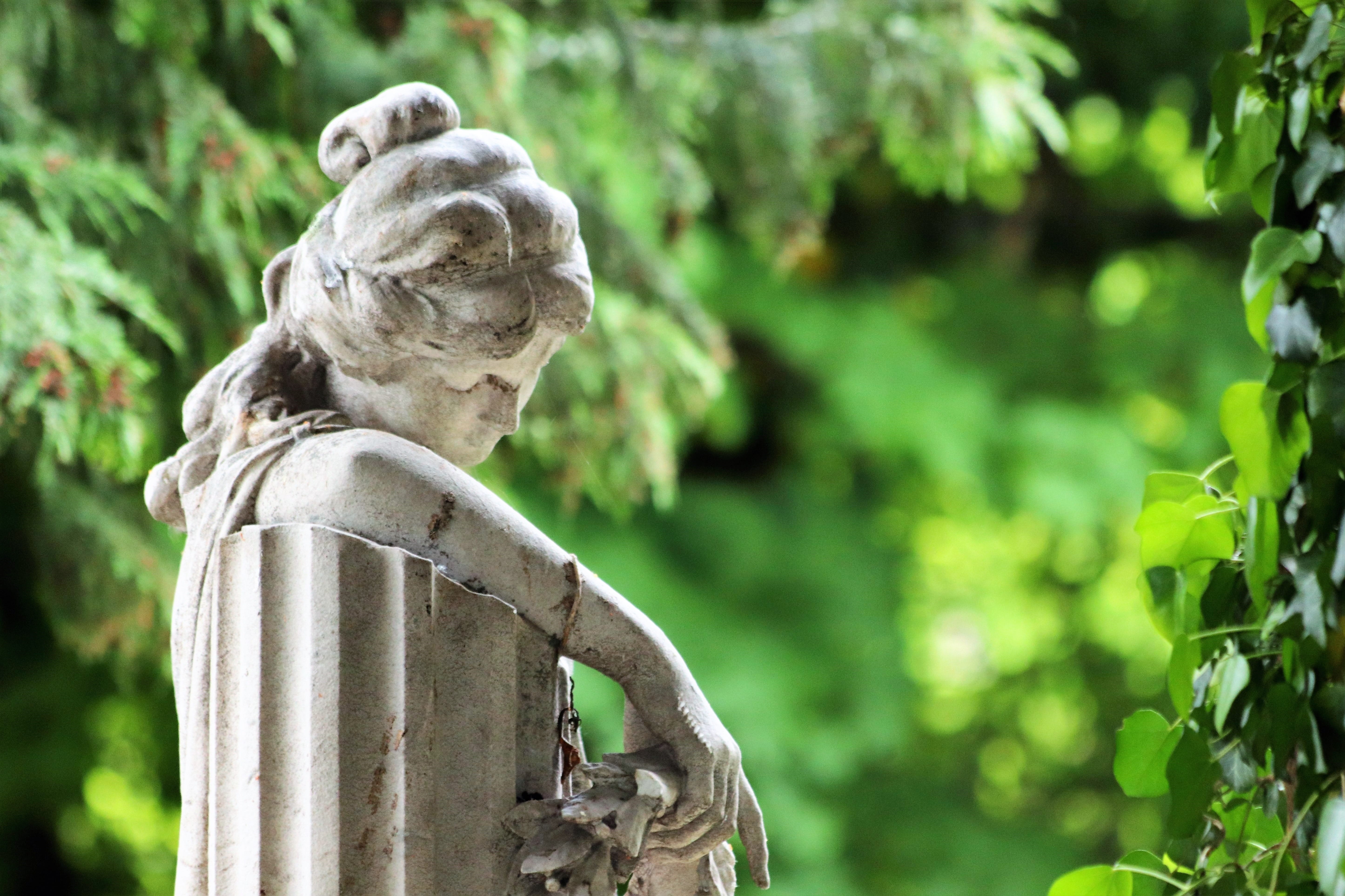 statue, outdoor, nature, zagreb, tree, focus on foreground, no people, day, representation, human representation, art and craft, plant, mammal, sculpture, HD Wallpaper