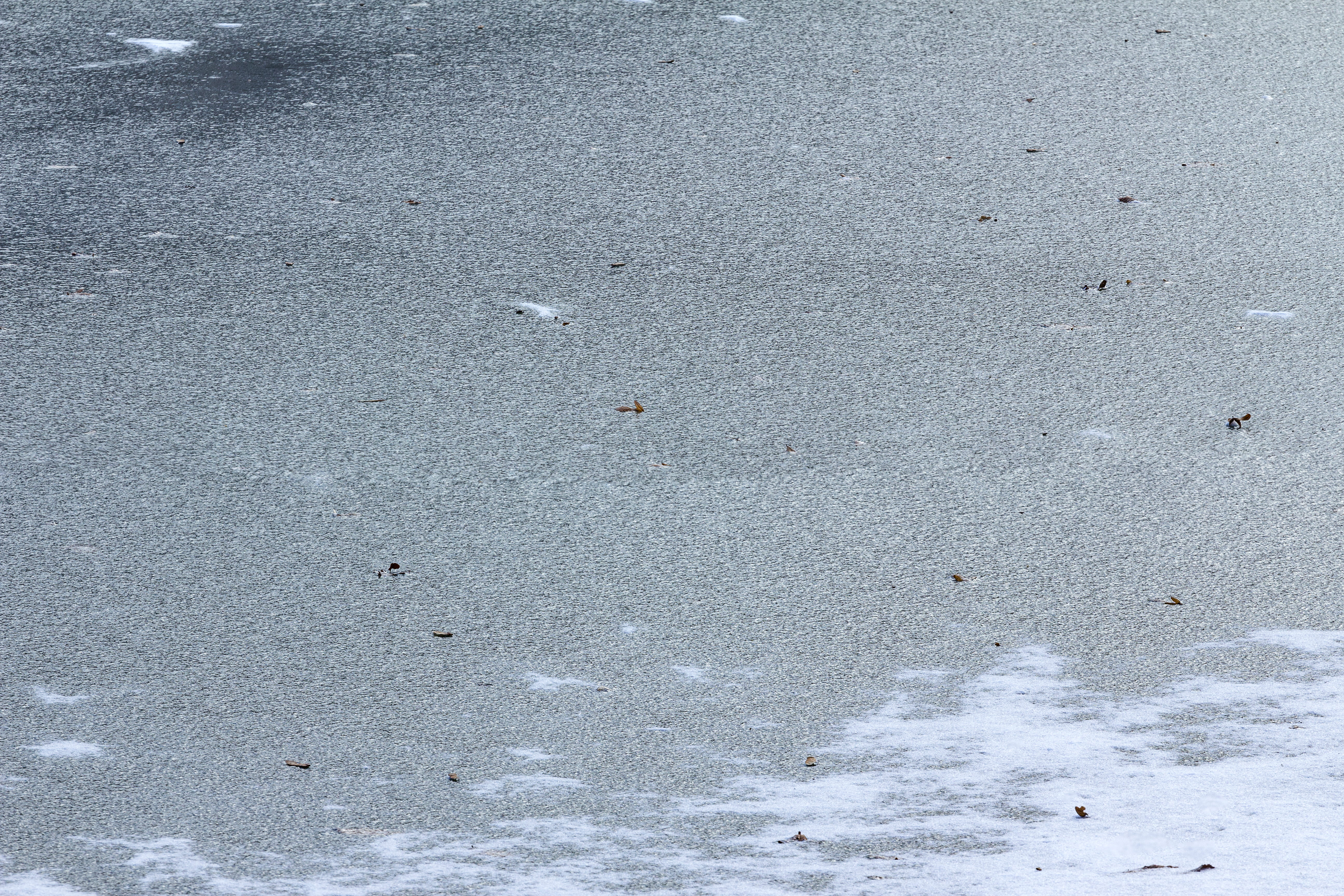 wet, full frame, zagreb, textured, ice, frozen leaves, built structure, white texture, architecture, cold, ice texture, land, gray, concrete, no people, HD Wallpaper