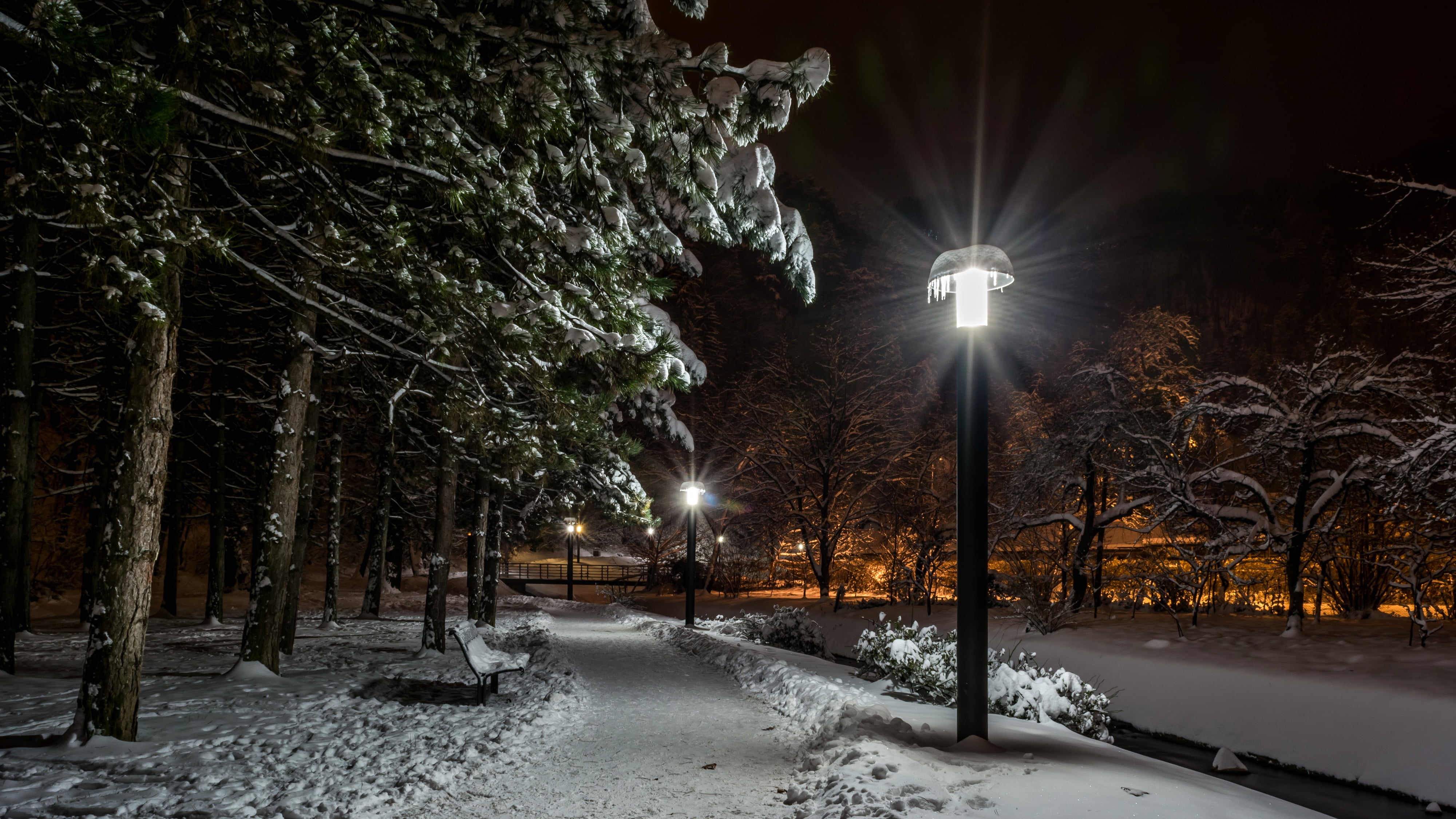 tree, illuminated, lights, covered, lighting equipment, extreme weather, nature, no people, blizzard, plant, street, city, winter, Croatia, tranquility, HD Wallpaper