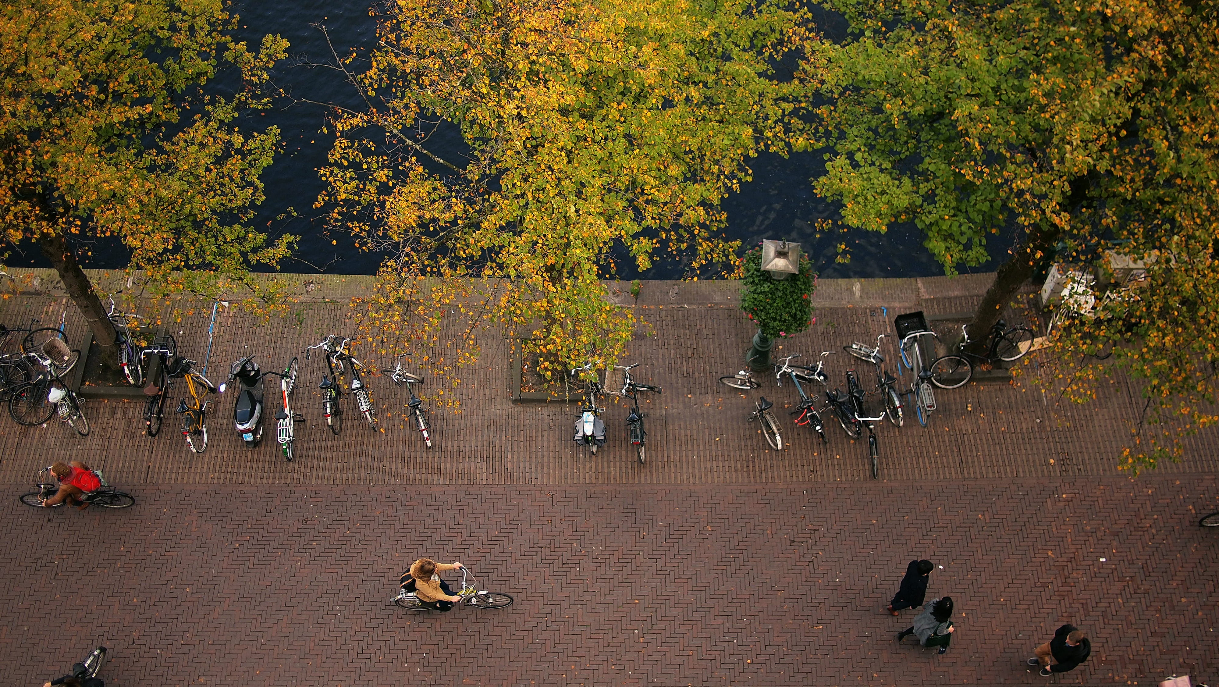 large group of people, men, from above, outdoors, transportation, europe, tree, window view, herfst, nature, above, netherlands, women, bikes, architecture, HD Wallpaper