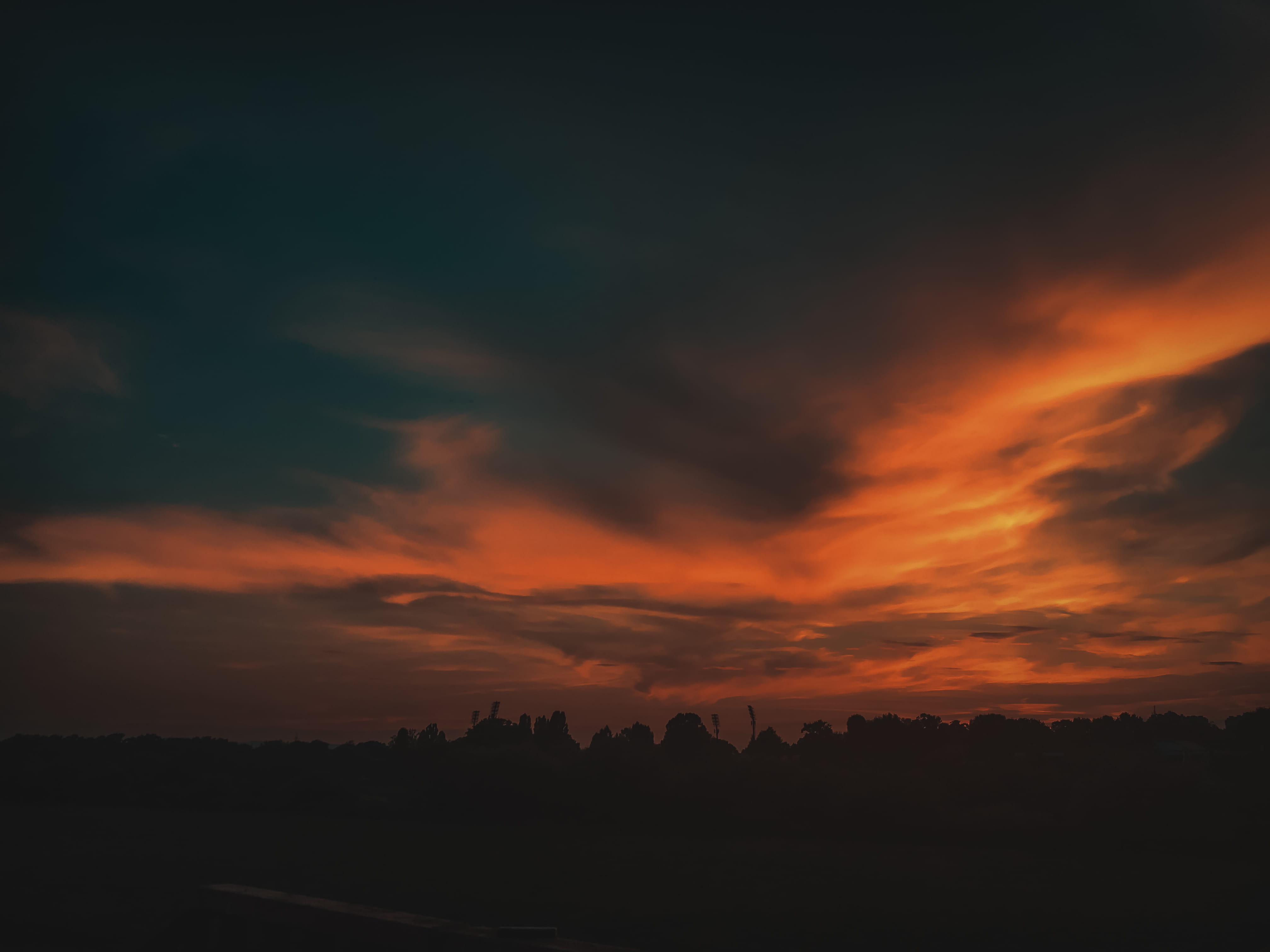 photograph, scenery, silhouette, dawn, hour, 4K, beauty in nature, no people, golden, zagreb, architecture, plant, orange color, brown, tranquility, dramatic sky, HD Wallpaper