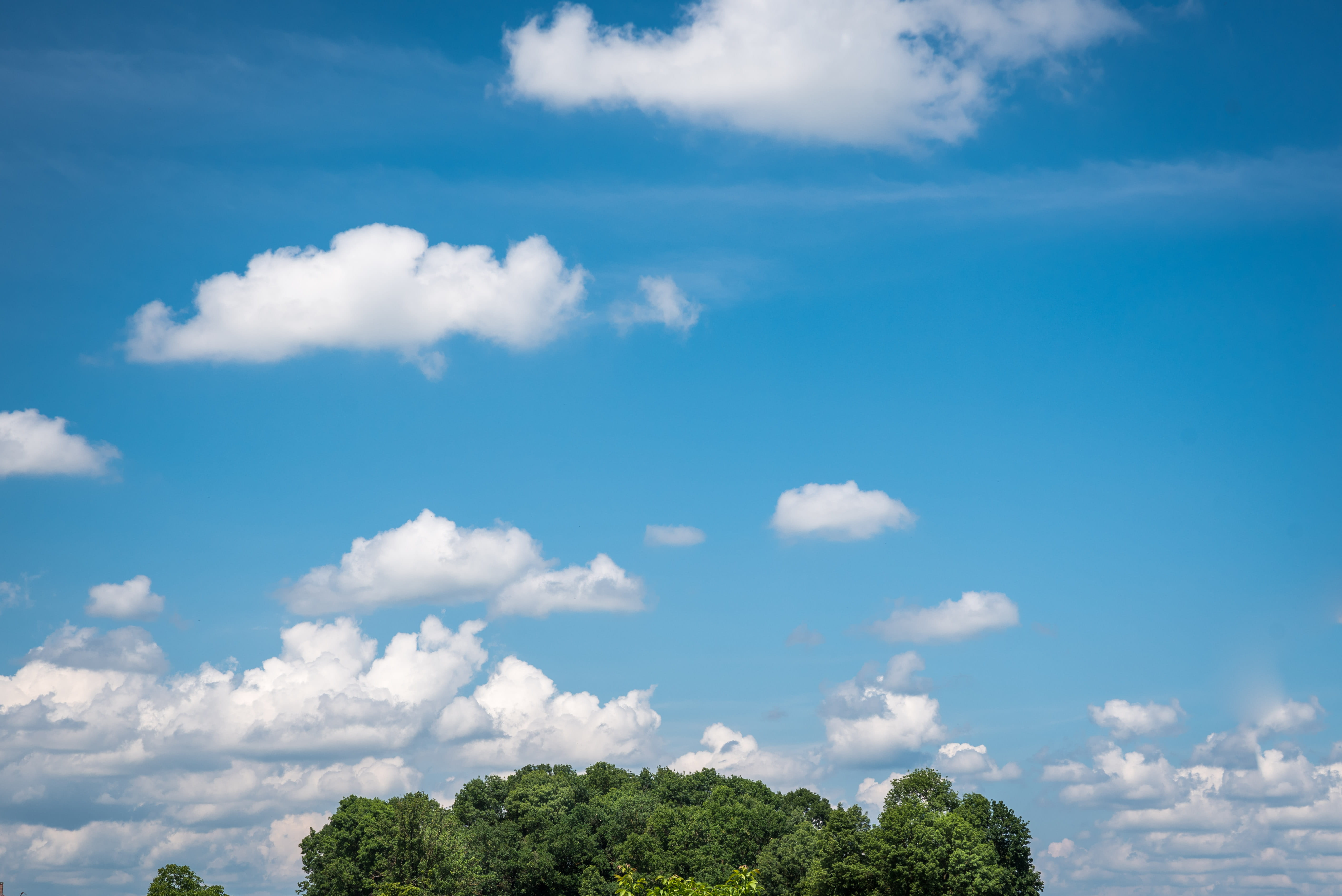 5K, croatia, nature, treetop, no people, idyllic, day, green, sky, blue, beauty in nature, cloud - sky, sunlight, tranquility, zagreb, plant, growth, green color, HD Wallpaper
