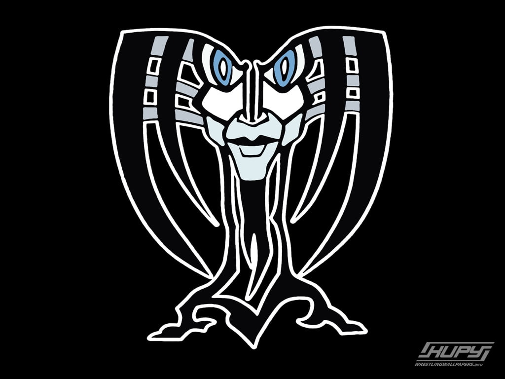 art, shirt, 480P, WWE, jeff, t, sports, wrestling, hd, hardy, HD Wallpaper