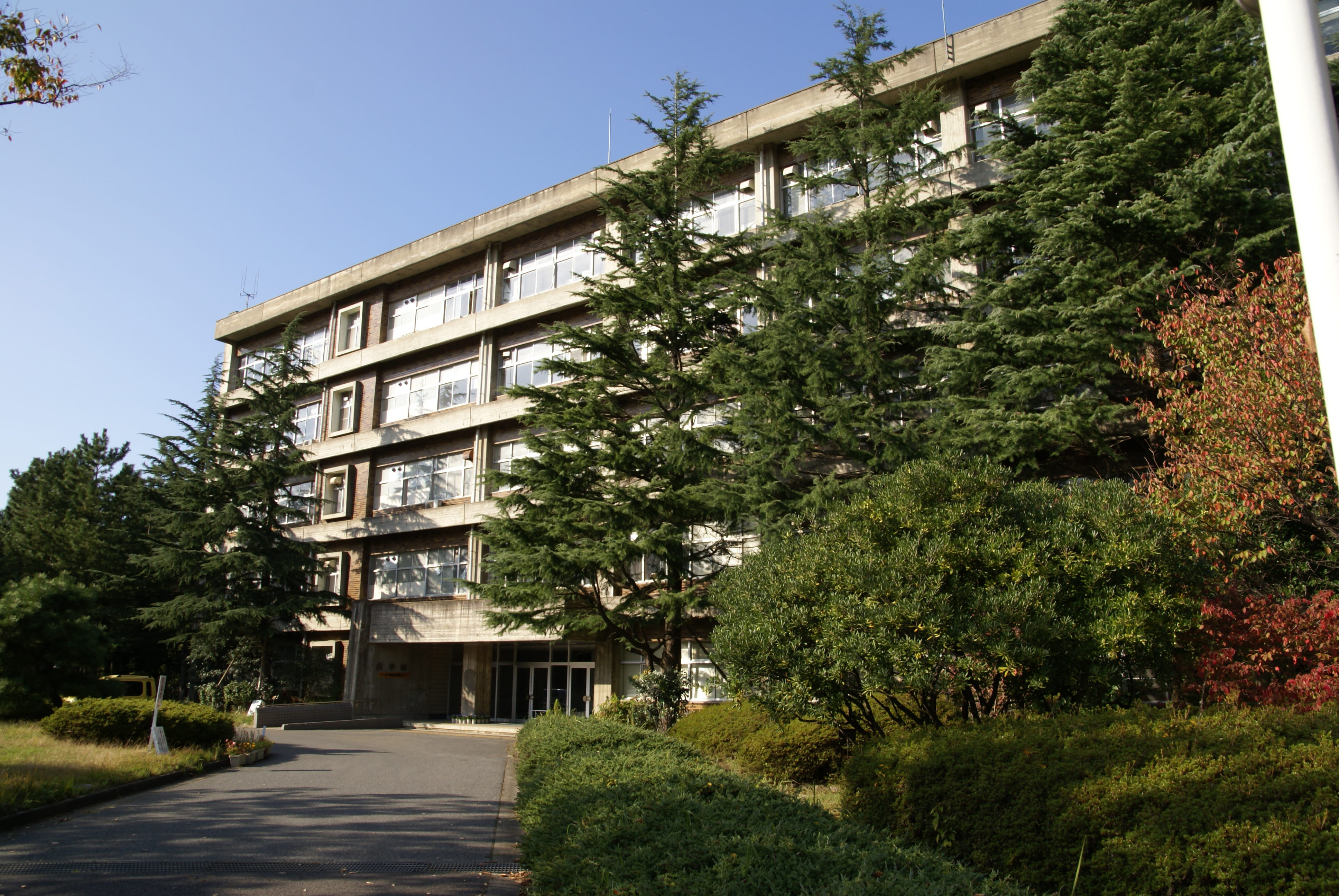 residential district, clear sky, home ownership, house, nature, low angle view, tree, architecture And Buildings, green color, university, direction, Niigata University, HD Wallpaper