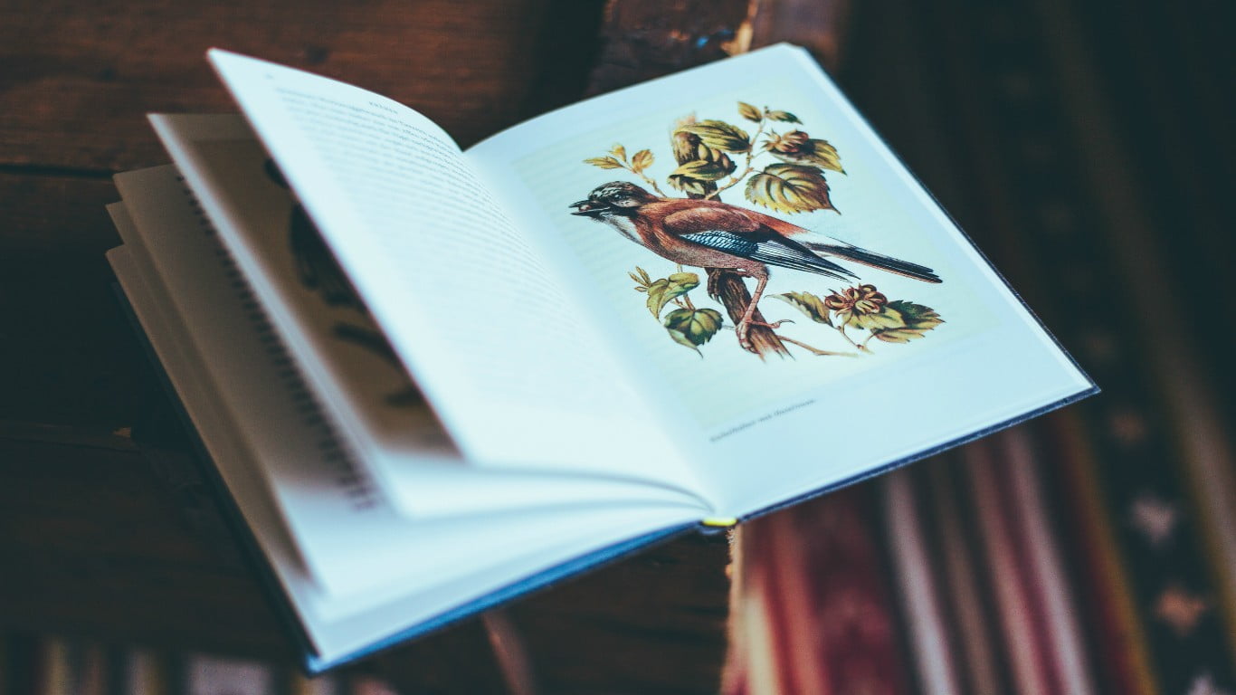 book, nature, white, page, blue, focus on foreground, table, paper, wooden, still life, wood - material, floral, close-up, 720P, books, publication, art and craft, HD Wallpaper