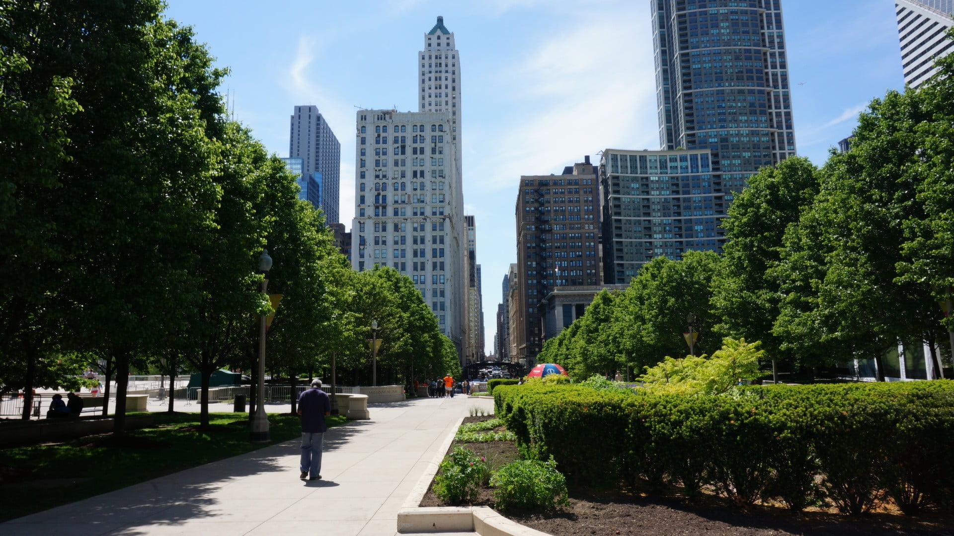 office, city, sky, architecture, building exterior, building, person, park - man made space, outdoors, walking, financial district, day, growth, USA, plant, HD Wallpaper