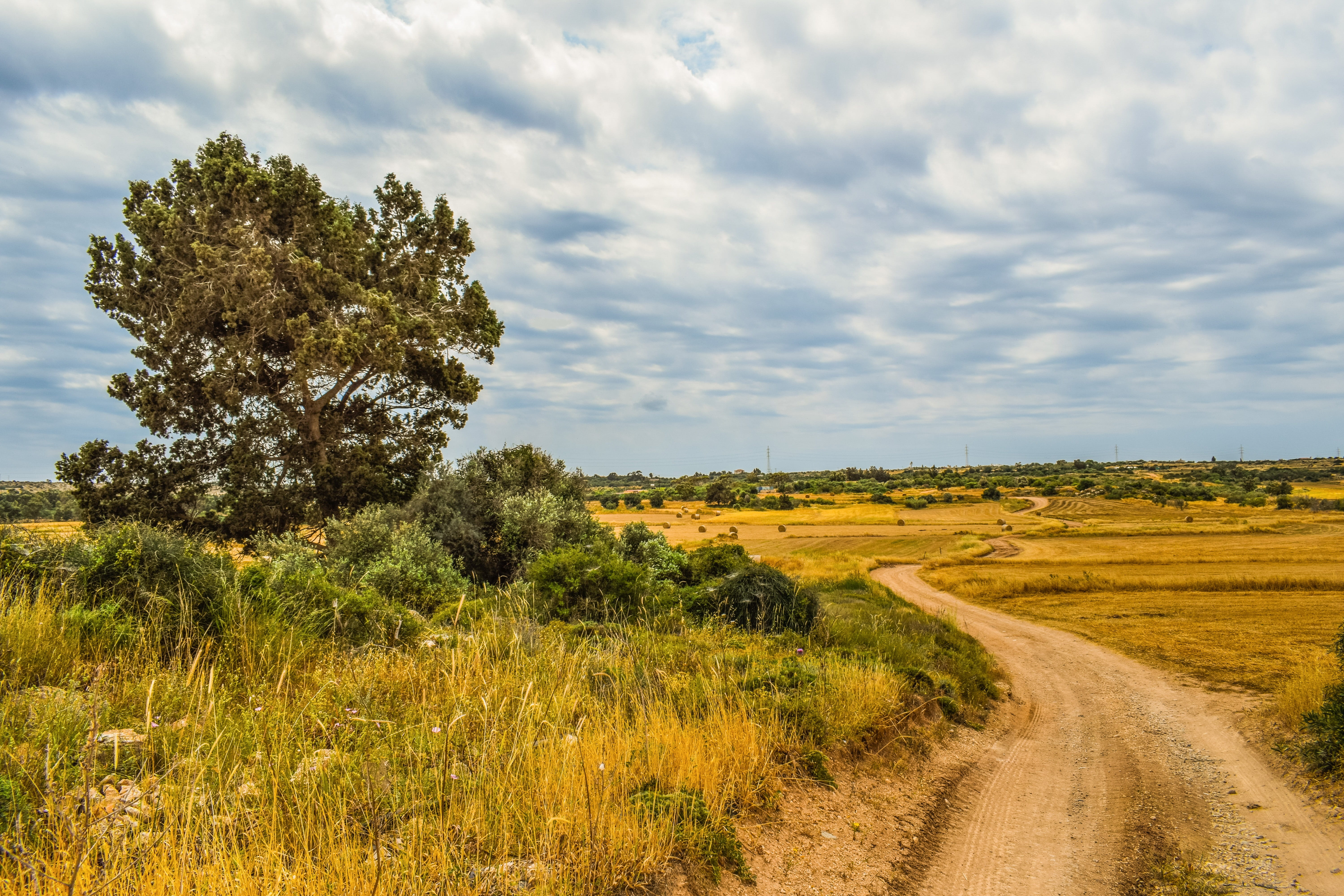 sky, grass, plant, non-urban scene, beauty in nature, no people, cyprus, cloud - sky, scenery, countryside, tree, outdoors, beside, nature, direction, growth, HD Wallpaper