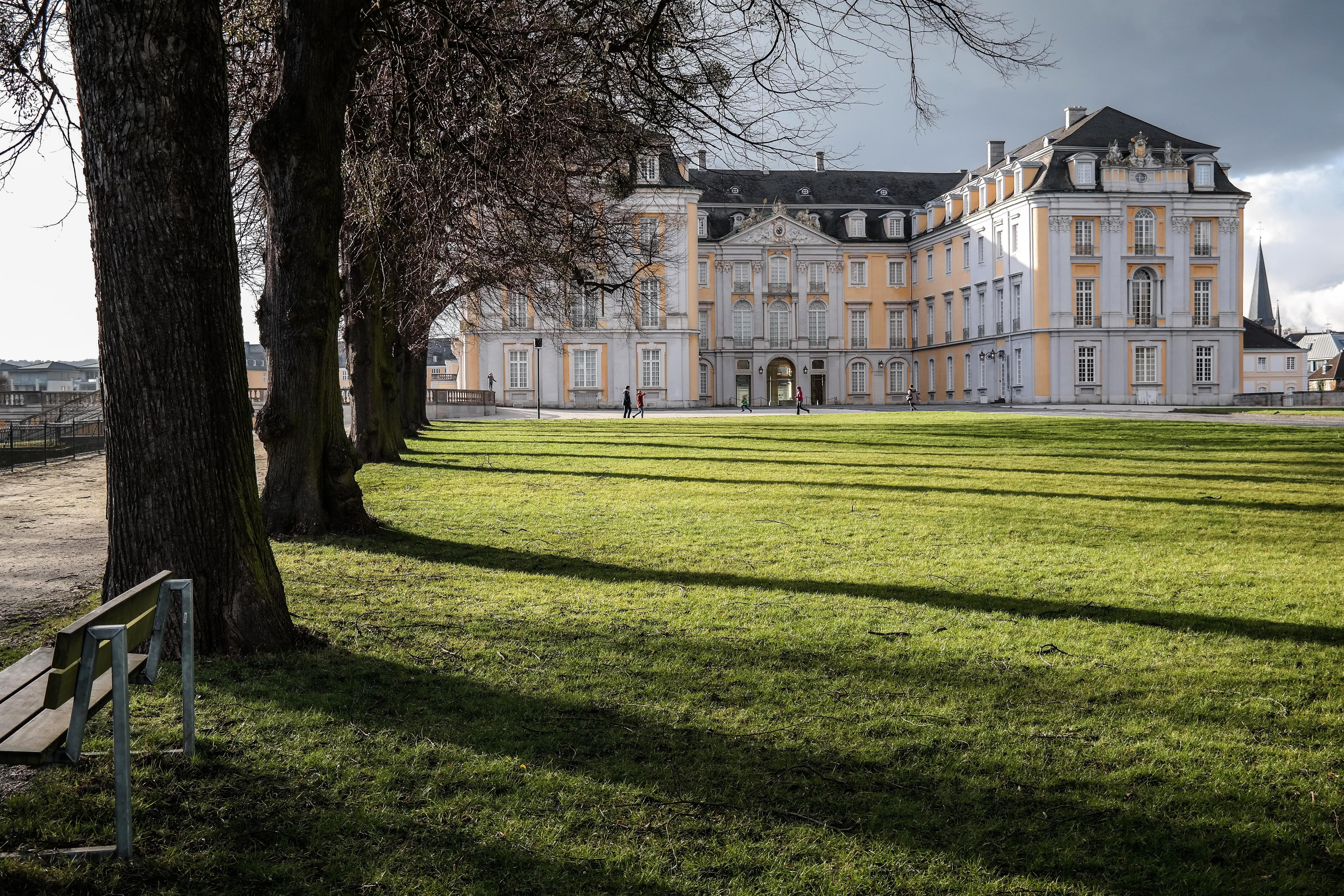 trunk, historically, outdoors, baroque, architecture, no people, closed augustusburg, brühl, history, green color, lawn, tree trunk, luxury, 5K, castle, HD Wallpaper