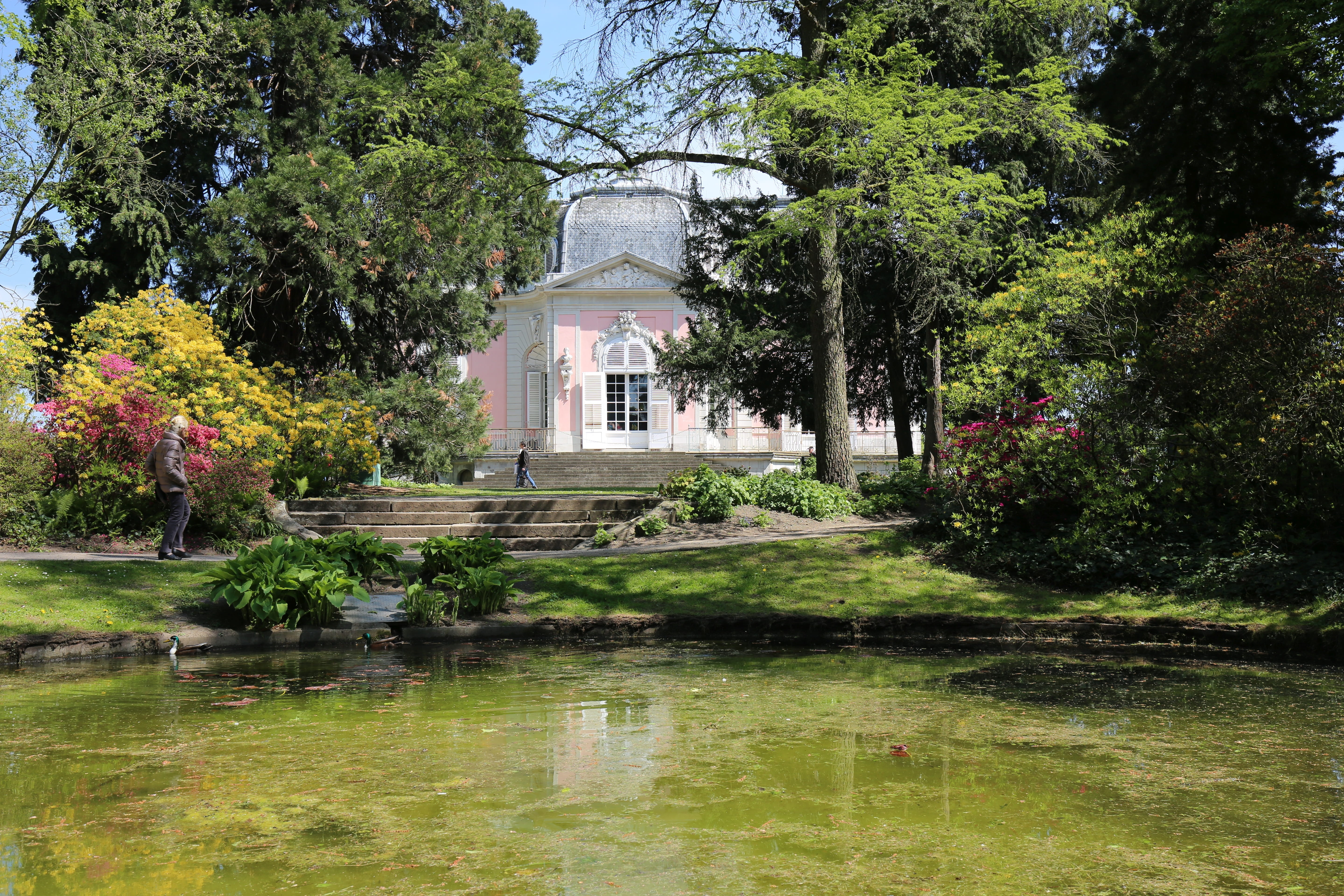 historically, castle pond, lake, building, waterfront, green color, germany, built structure, benrather castle, schlossgarten, park, building exterior, HD Wallpaper