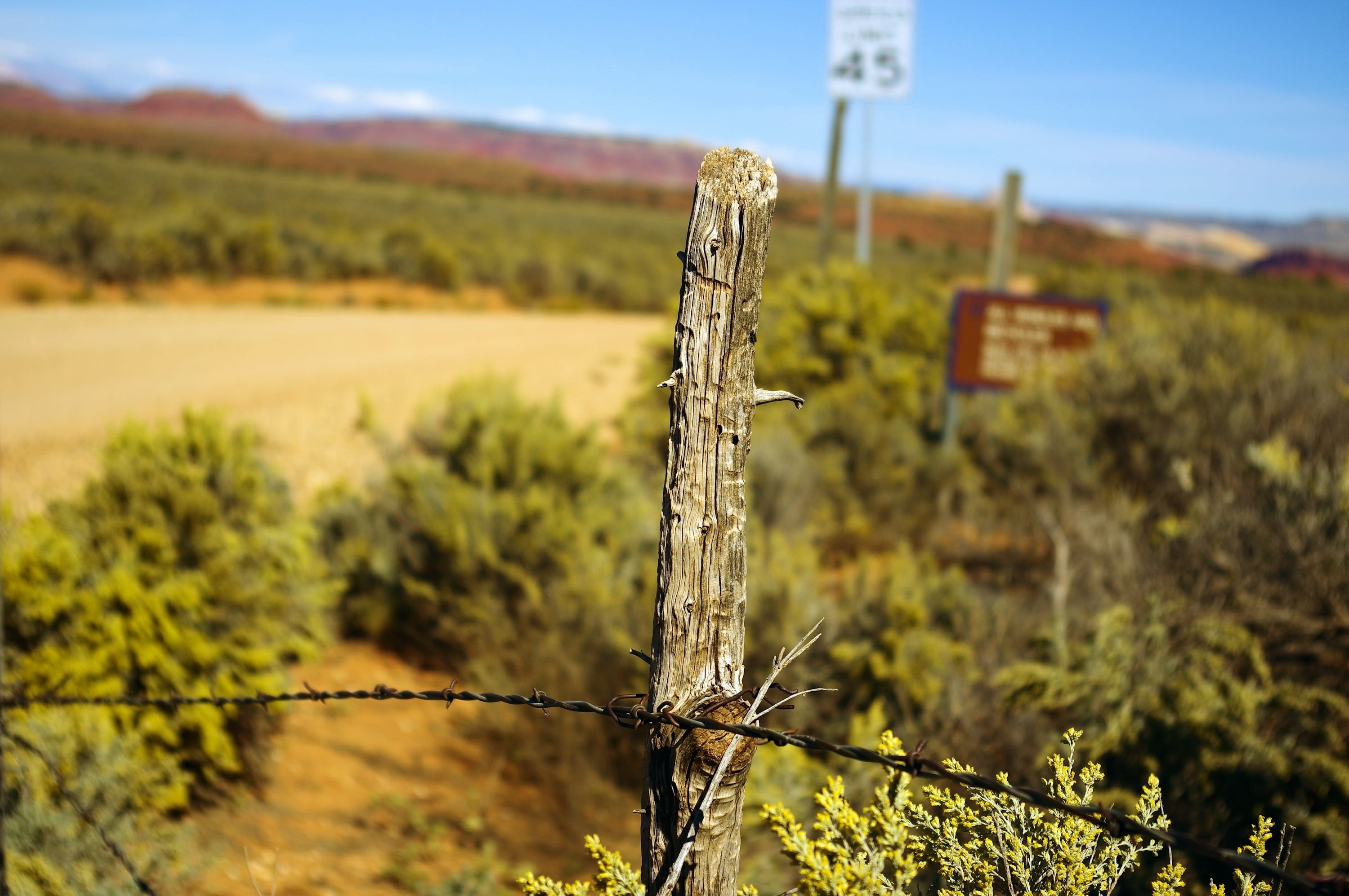 nature, safety, growth, 2K, fenced, day, escalante, wire, sunlight, outdoors, demarcation, metal, desert, national, plant, environment, wooden post, barbed, HD Wallpaper