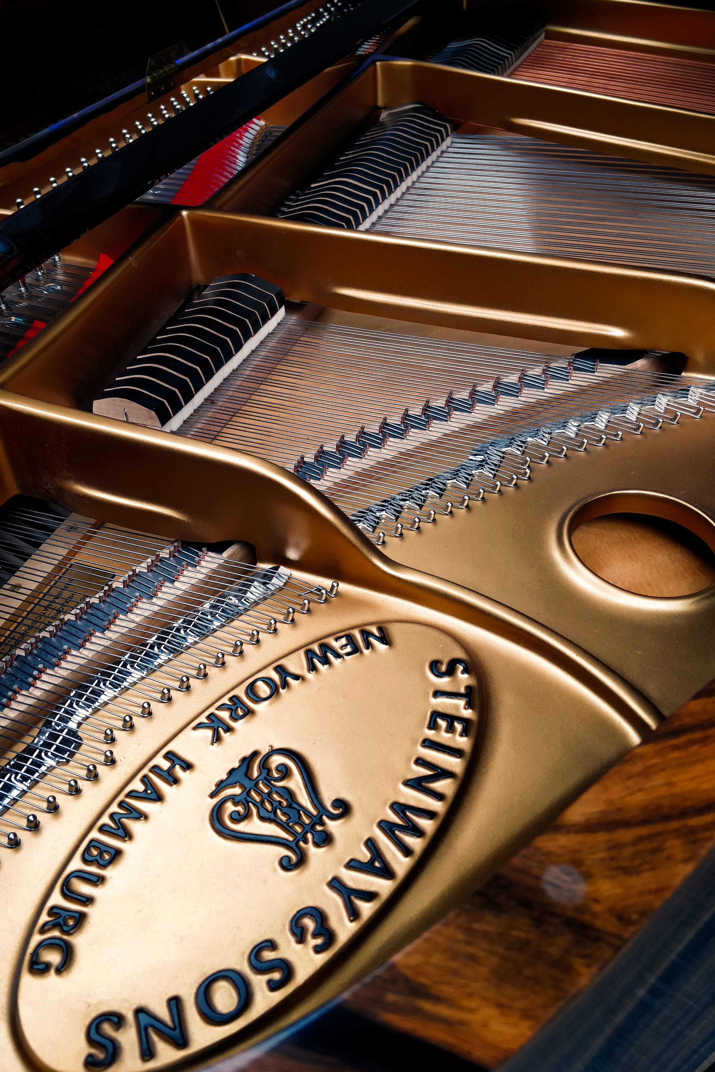 close-up, music, food, treasure, reel, keyboard, fruit, harp, 4K, guitar, string, musical instrument, cosmetics, creativity, high angle view, wood - material, Phone HD Wallpaper