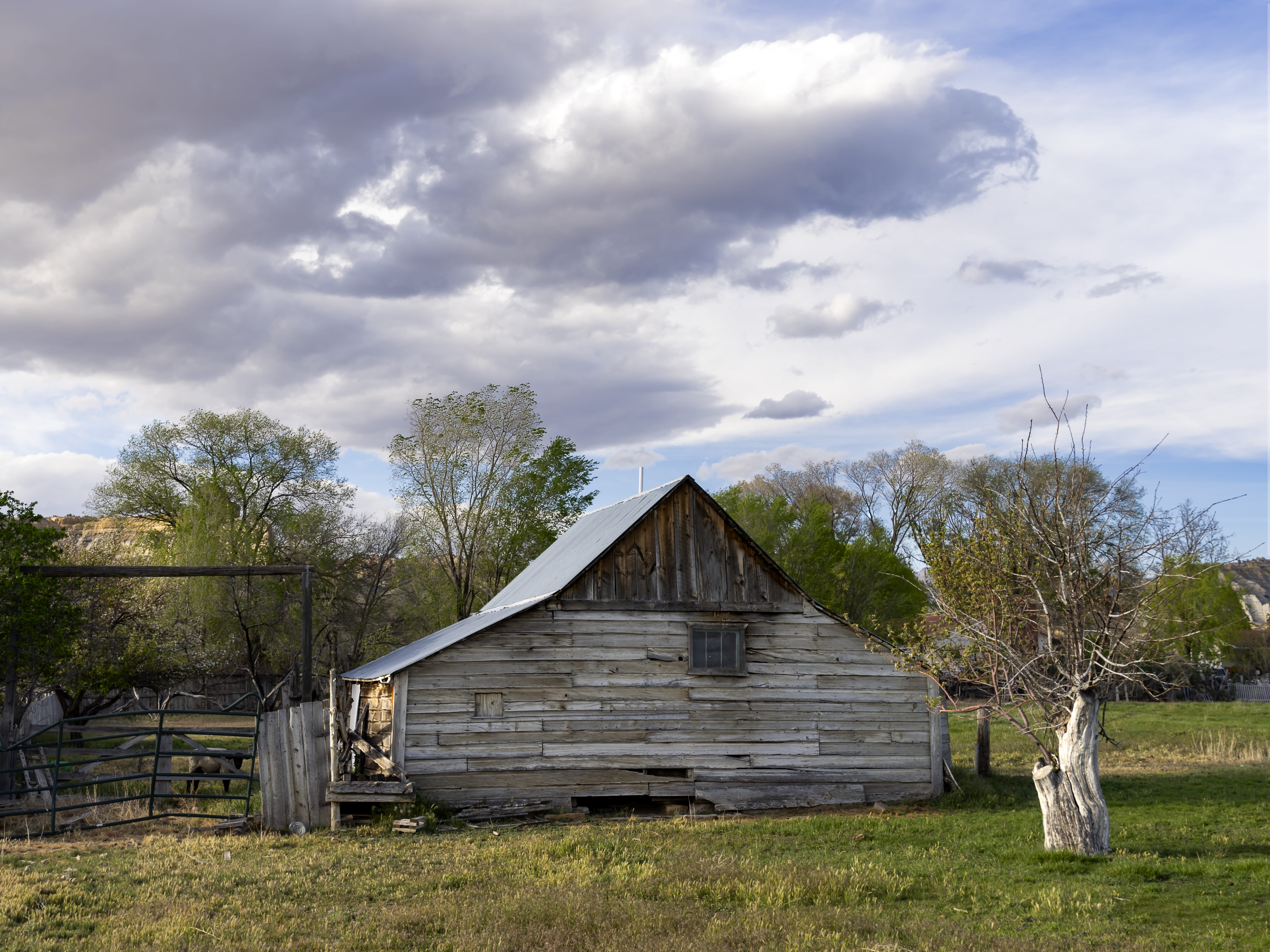 state route 12, landscape, spring, apple tree, built structure, henrieville, garfield county, agricultural building, day, growth, building exterior, field, HD Wallpaper