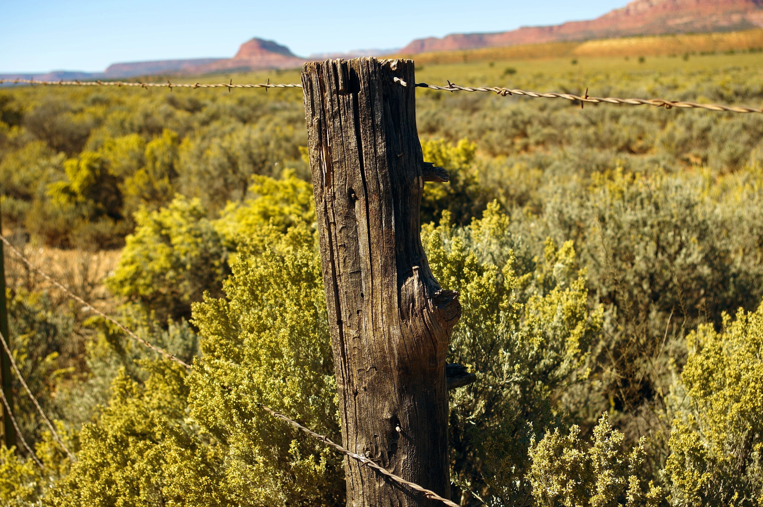 fencing, tranquility, landscape, barbed, plant, national, beauty in nature, barrier, post, security, wood - material, desert, escalante, no people, land, HD Wallpaper