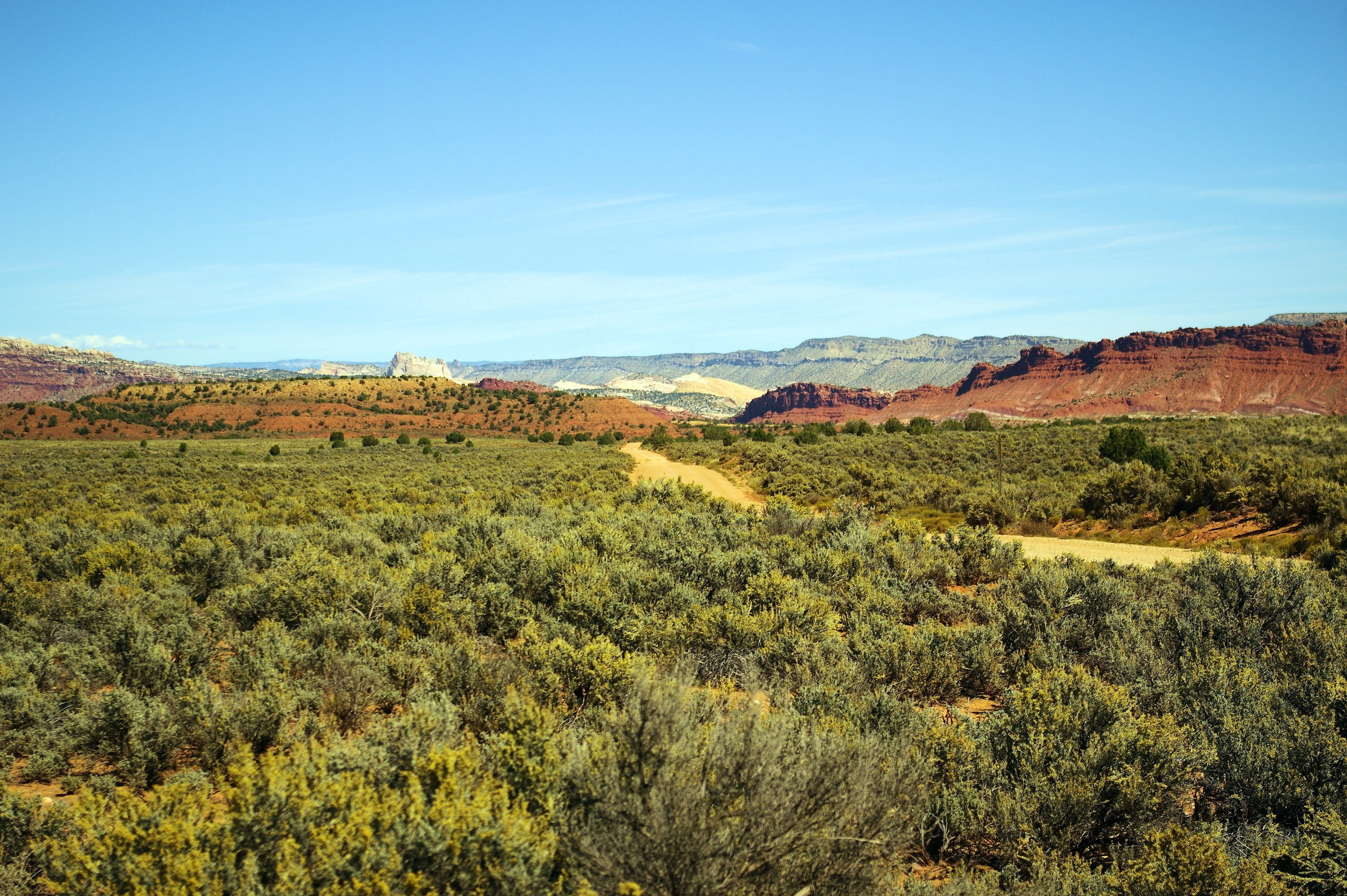 escalante, plant, road, outdoors, travel, desert, idyllic, earth, paria road, nature, growth, dirt, non-urban scene, day, sagebrush, staircase, environment, HD Wallpaper