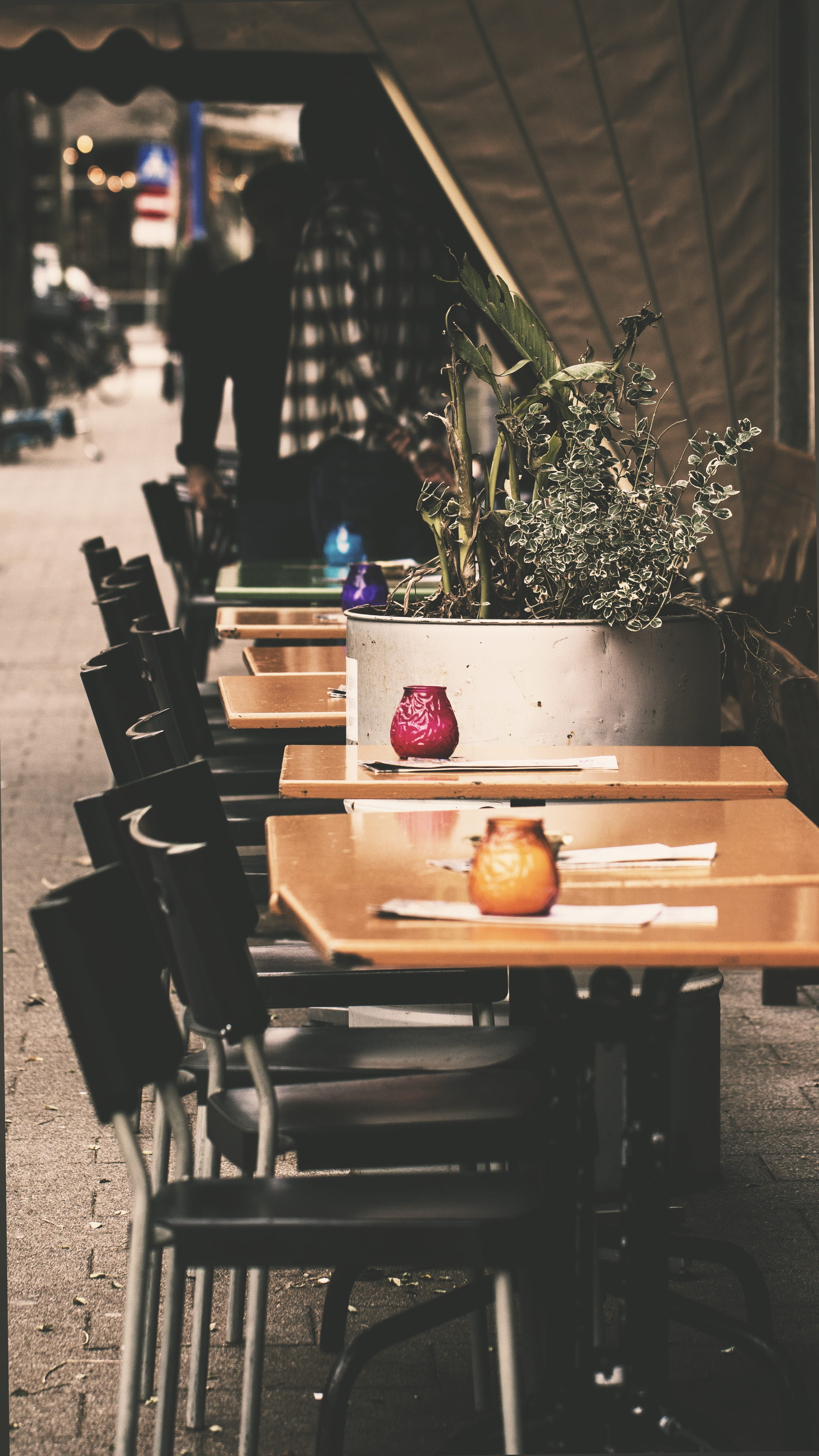 healthy eating, Cafe, business, nature, netherlands, lunch, Sidewalk, incidental people, freshness, chair, men, Bar, seat, rotterdam, fruit, still life, Phone HD Wallpaper