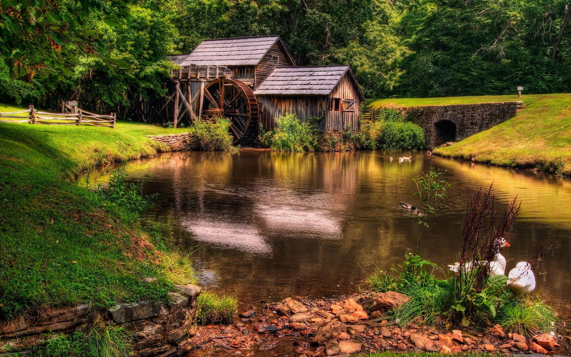 1920x1200, body, shed, tree, brown, mill, water, world, garden, meadow, river, wooden, house, 1080P, HD Wallpaper