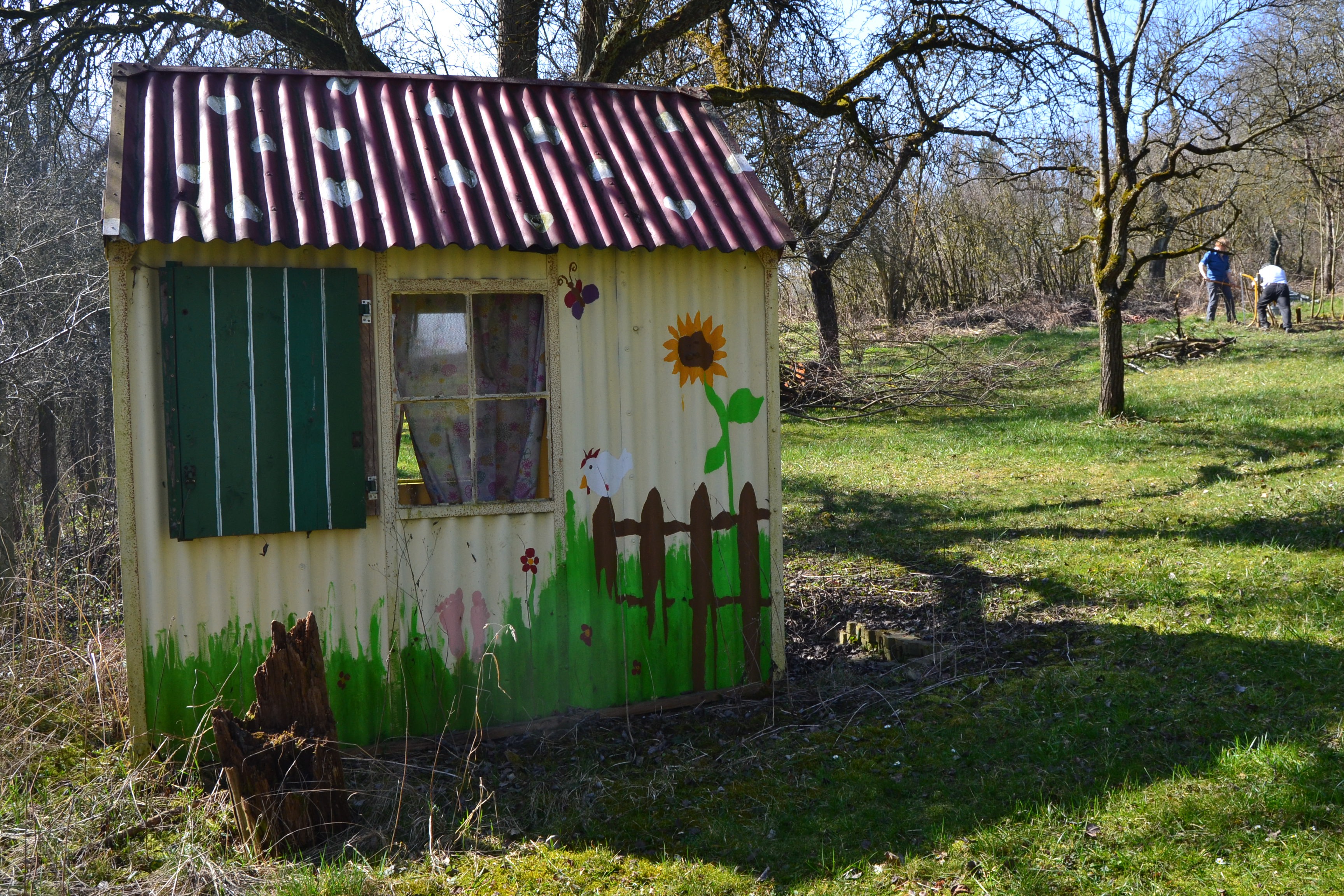 day, garden shed, building, door, land, architecture, entrance, hut, green color, outdoors, nature, plant, sunlight, tree, no people, growth, window, house, HD Wallpaper