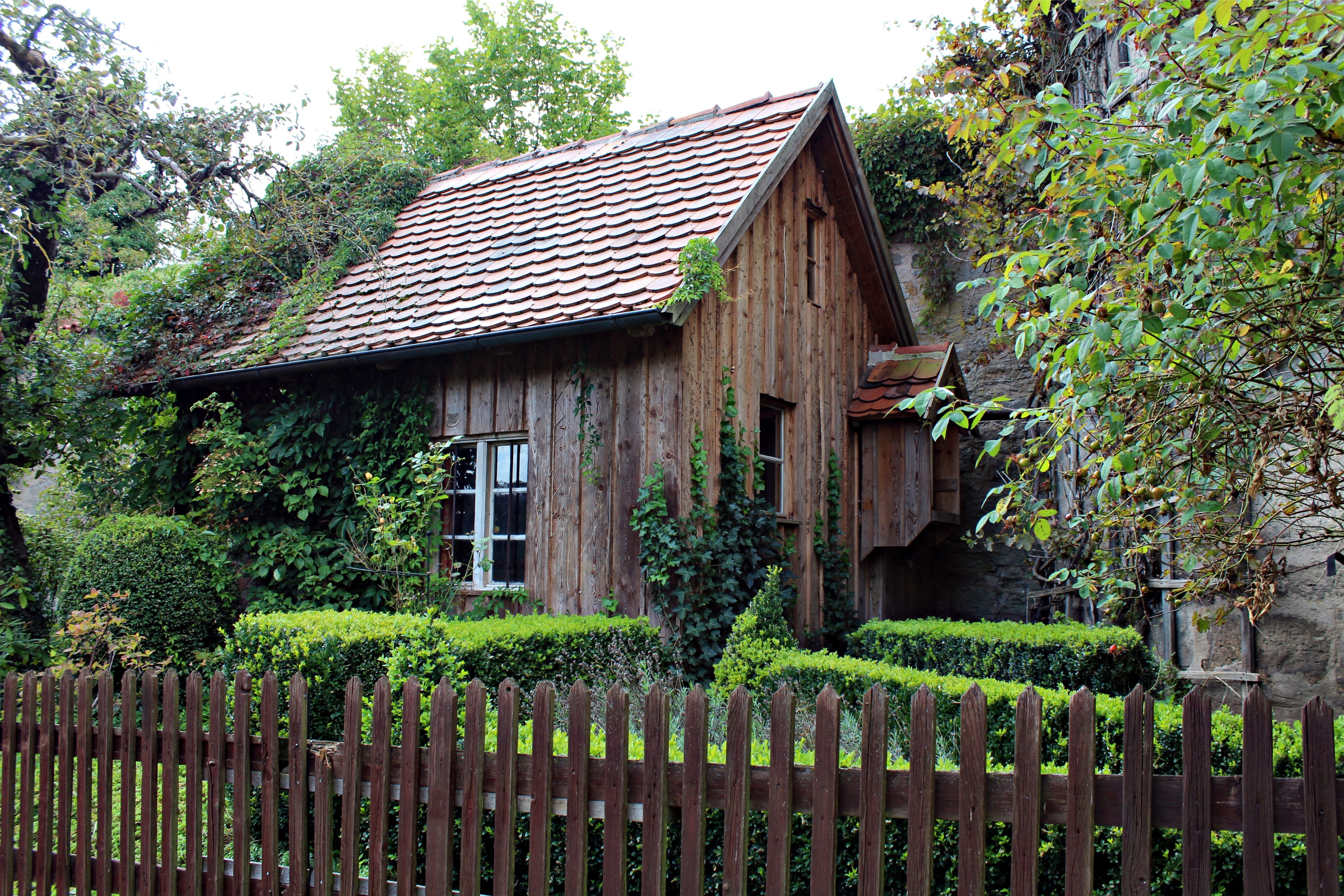 wooden, green, landscape, roof, old wooden hut, cottage, tree, no people, garden shed, surrounded, beautiful, romantic, trees, built structure, growth, HD Wallpaper