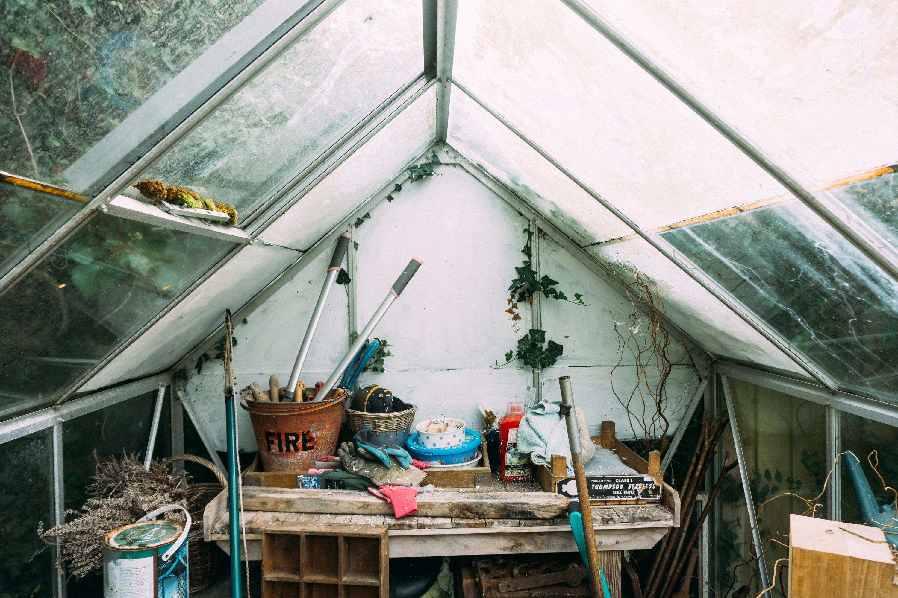 garden, built structure, variation, window, large group of objects, dining room, greenhouse, plant, wood - material, choice, still life, 2K, old, grey, HD Wallpaper