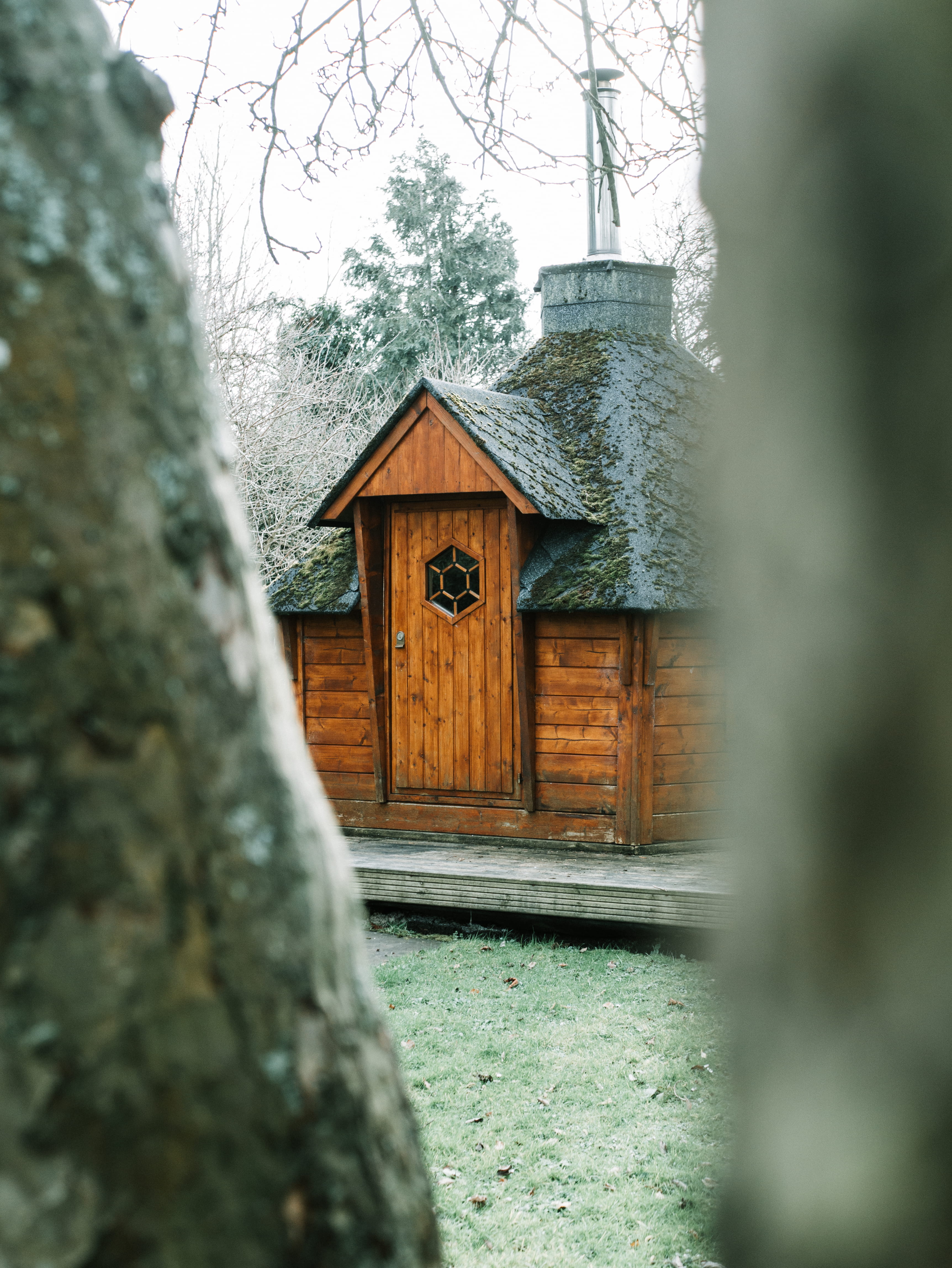 housing, architecture, solid, winter, wood - material, hut, textured, day, shelter, brown, shed, garden, plant, outhouse, building exterior, trees, 4K, Phone HD Wallpaper