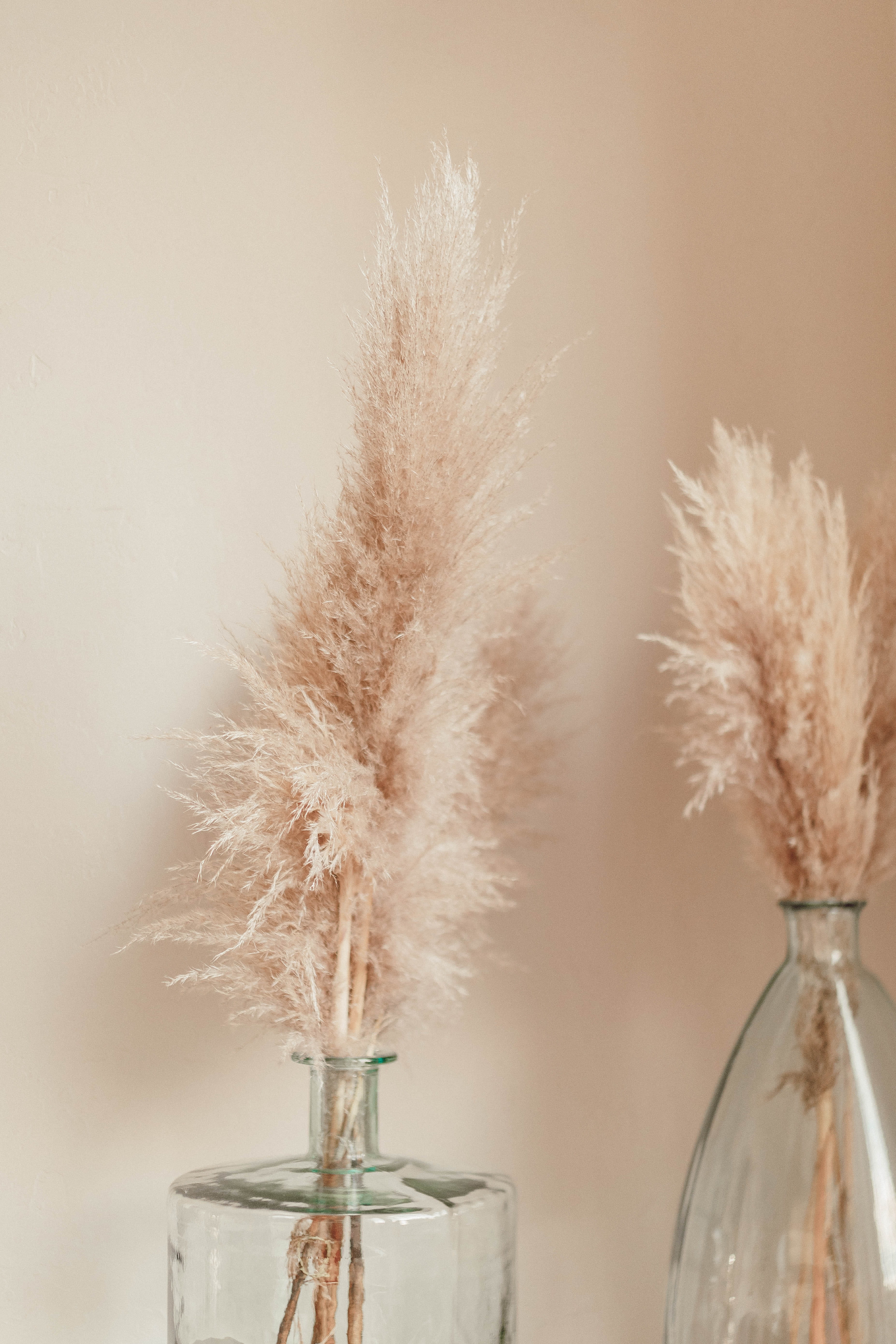 nature, 5K, no people, outdoors, vulnerability, table, reed, pottery, transparent, grass, couch, flower head, still life, lawn, two, flowering plant, freshness, Phone HD Wallpaper