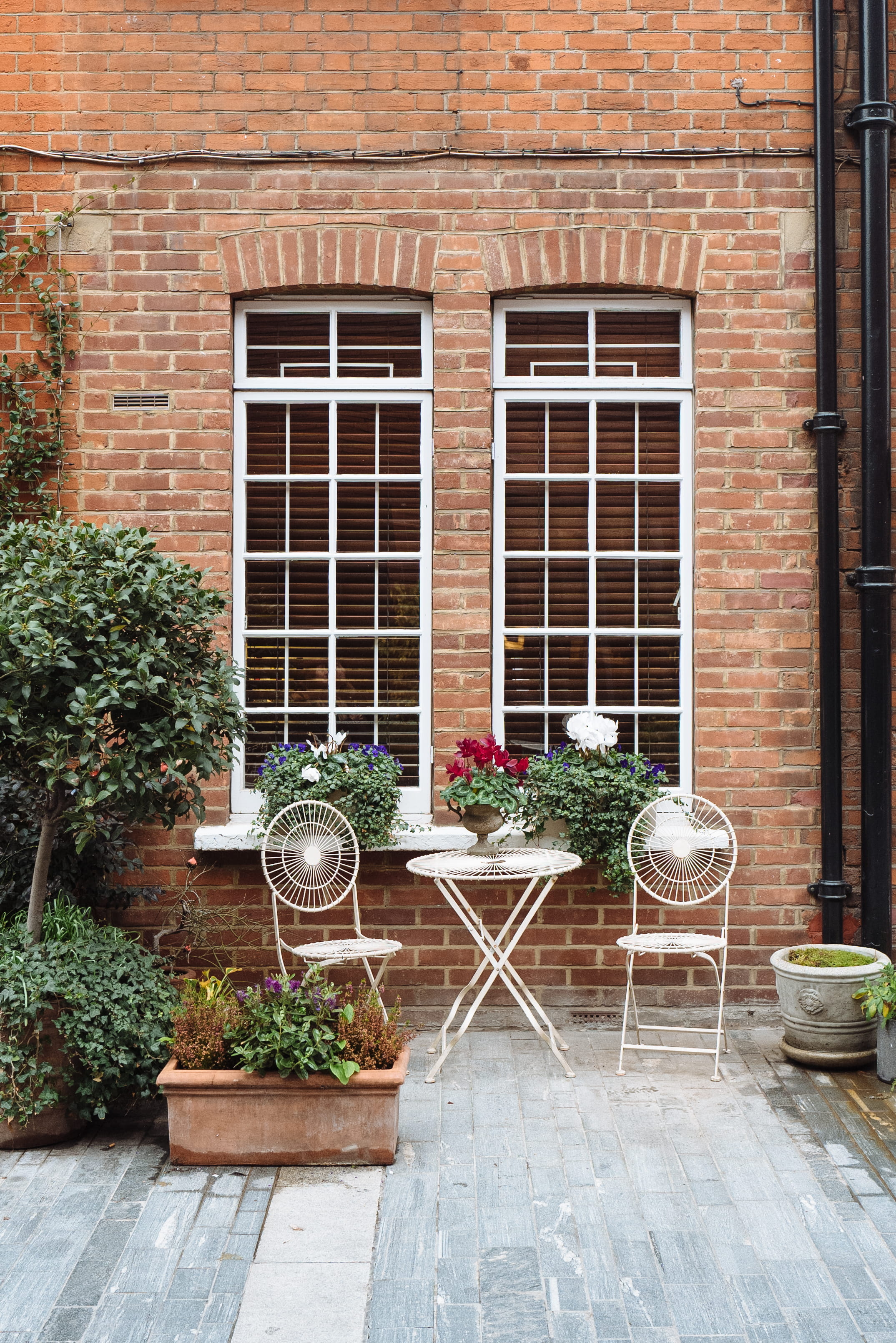 potted plant, wall, building, built structure, 2K, architecture, outdoors, plant, outside, london, pottery, table, blossom, metal, brick, seat, bricks, Phone HD Wallpaper