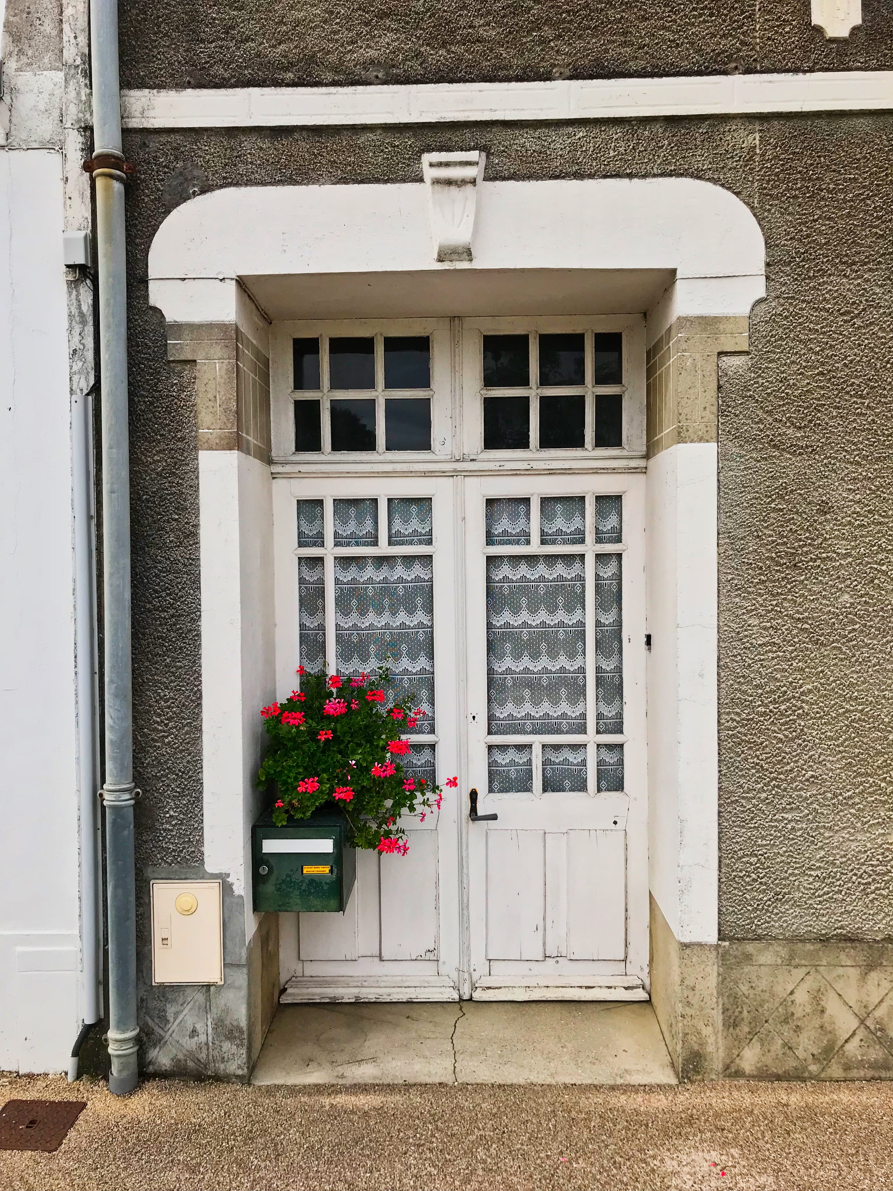blossom, wall, no people, window frame, window shade, potted plant, flower arrangement, bike, closed, growth, pedestrian, curtain, flower, door, house, Phone HD Wallpaper