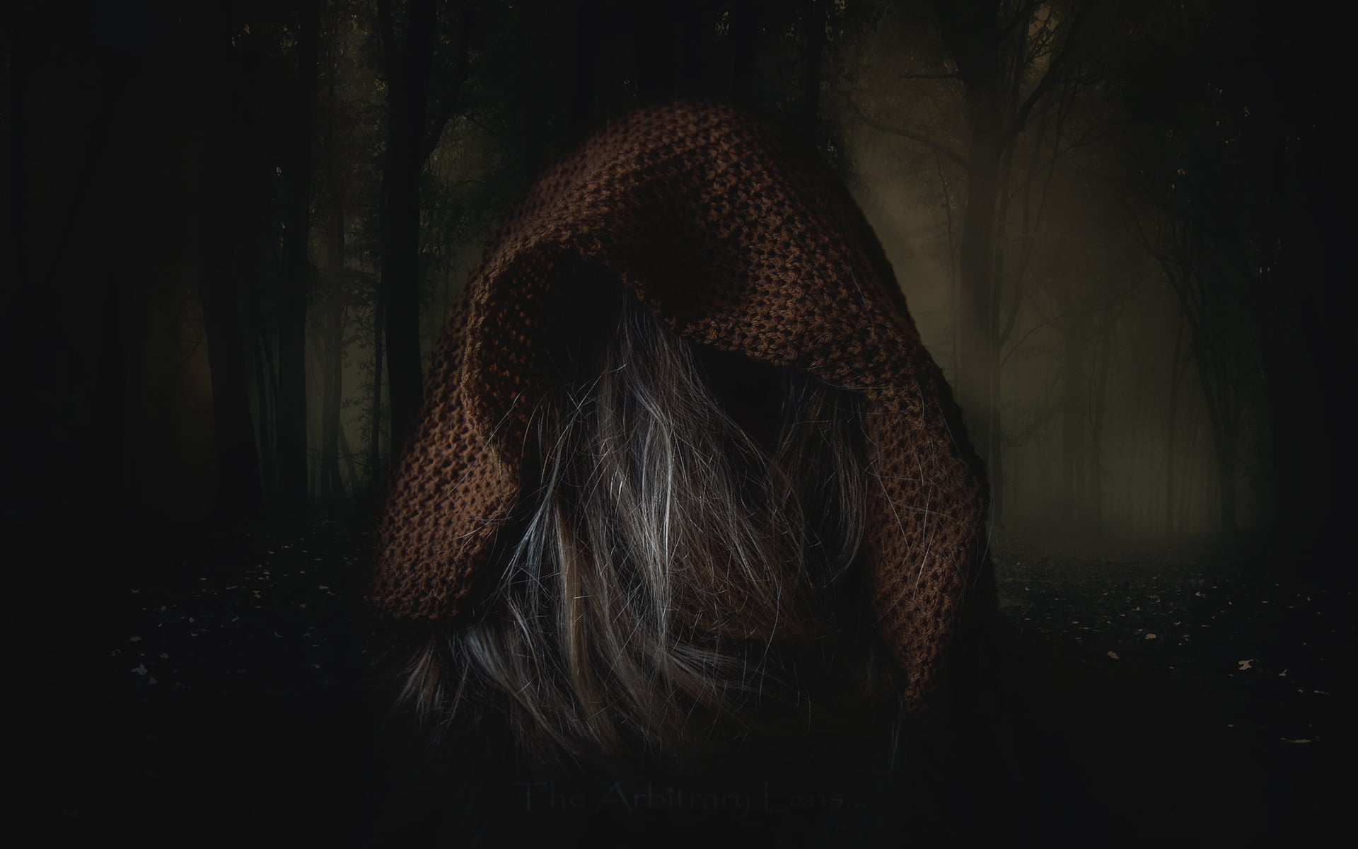 hair, hoods, forest, dark, women, 1080P, Haunted Mansion, creepy, HD Wallpaper