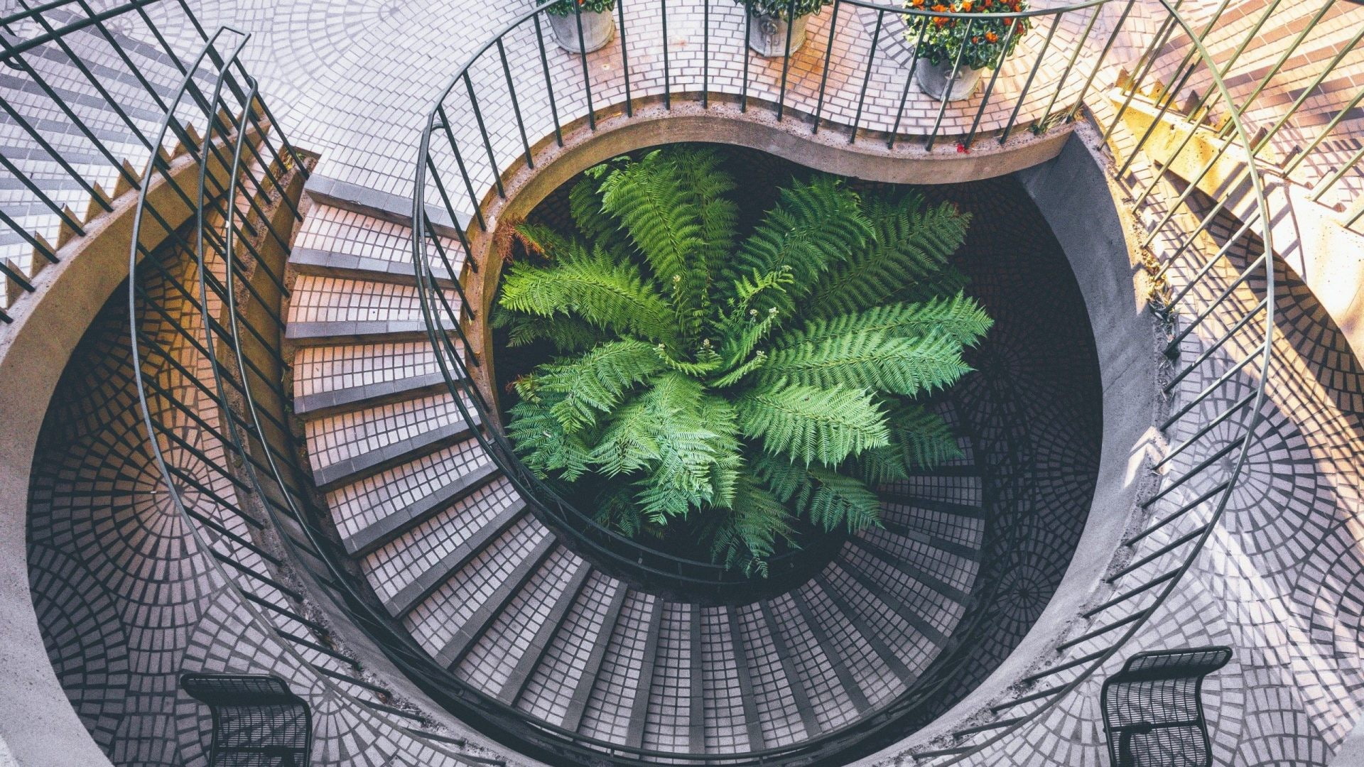 arch, staircase, birds eye view, plants, 1080P, HD Wallpaper