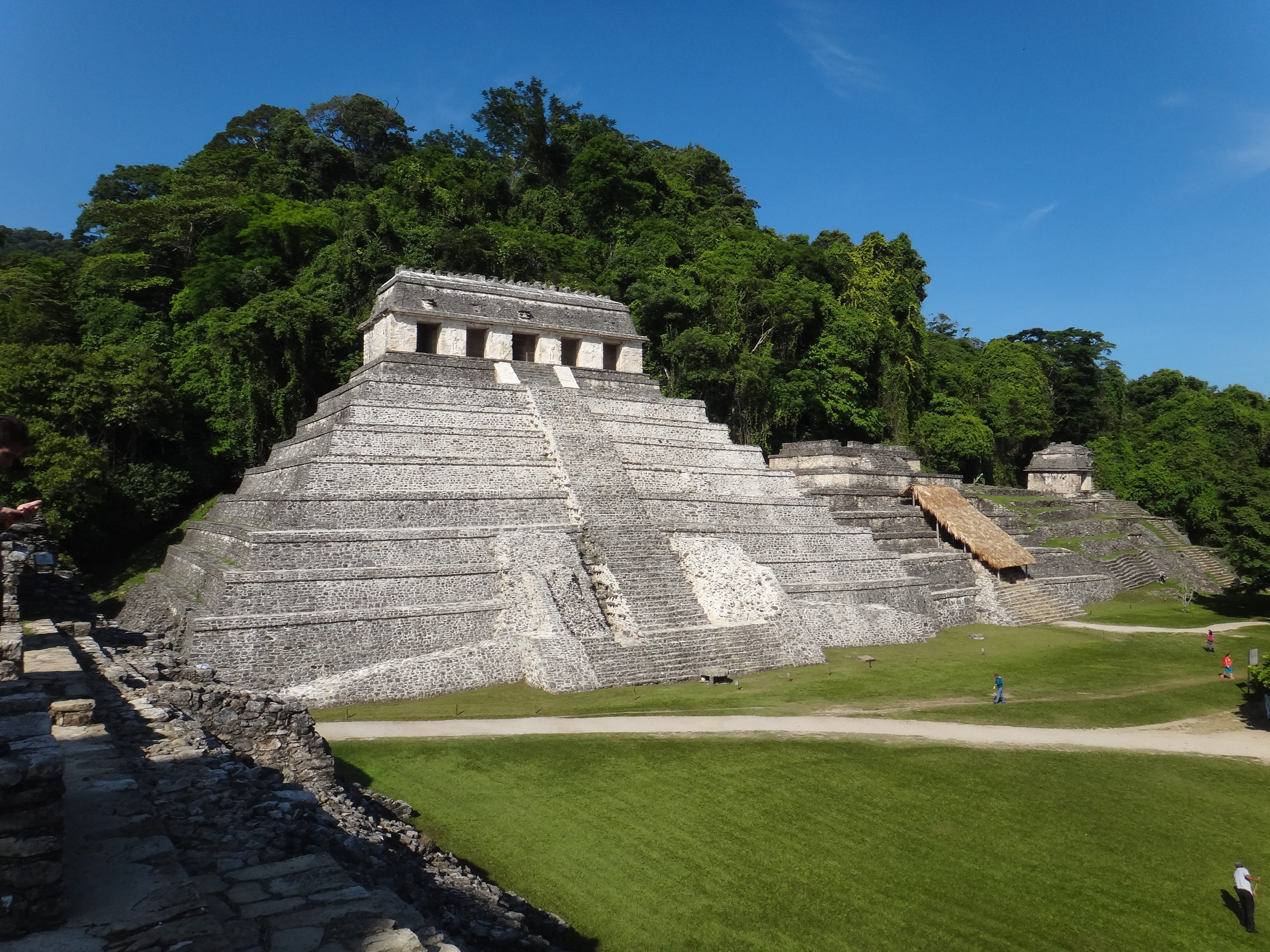 tree, built structure, 4K, nature, mystical, central america, ancient civilization, green, tourism, palenque, no people, blue, archaeology, green color, HD Wallpaper