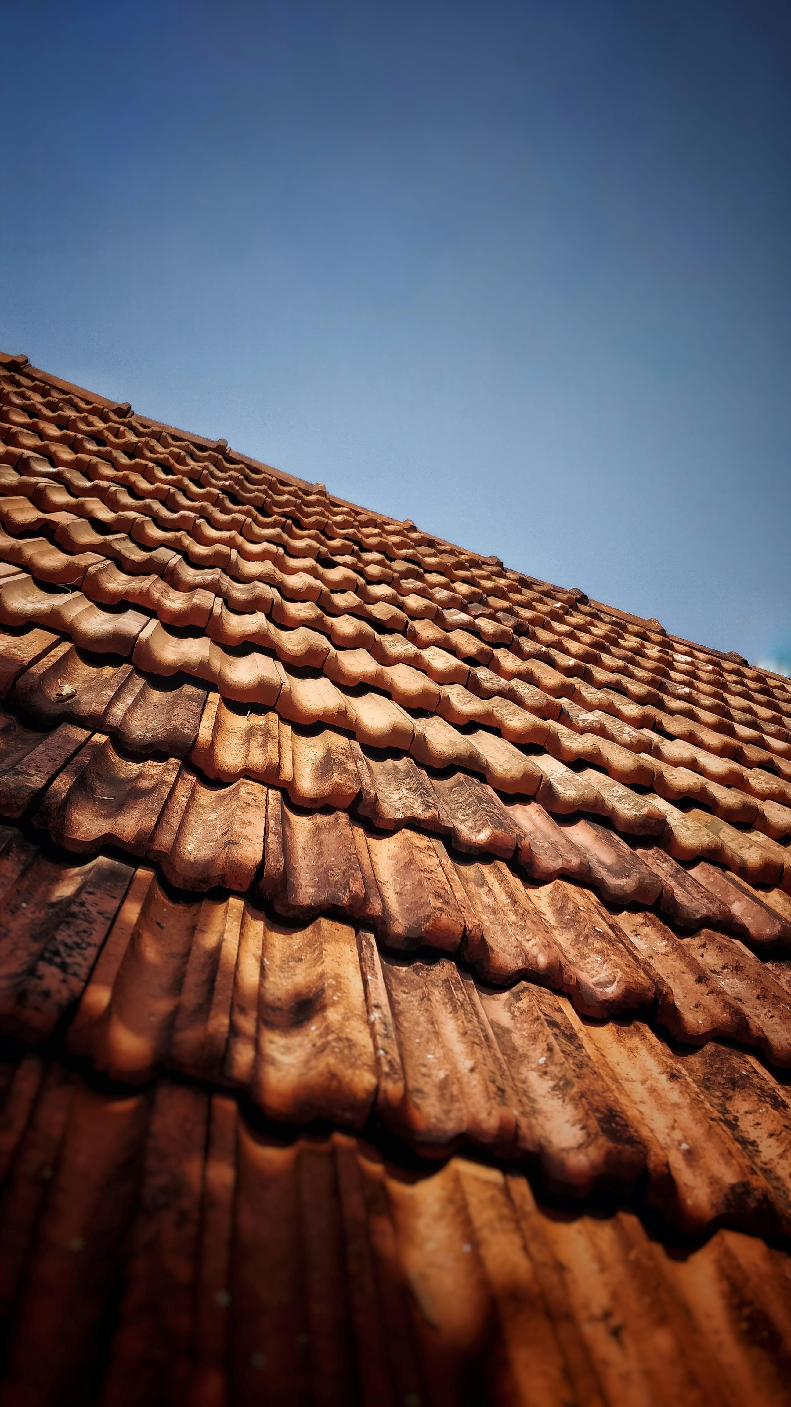 blue, low angle view, shotononeplus, building, summer, built structure, tiles, nature, roof tile, no people, 4K, architecture, copy space, arranged, day, Phone HD Wallpaper