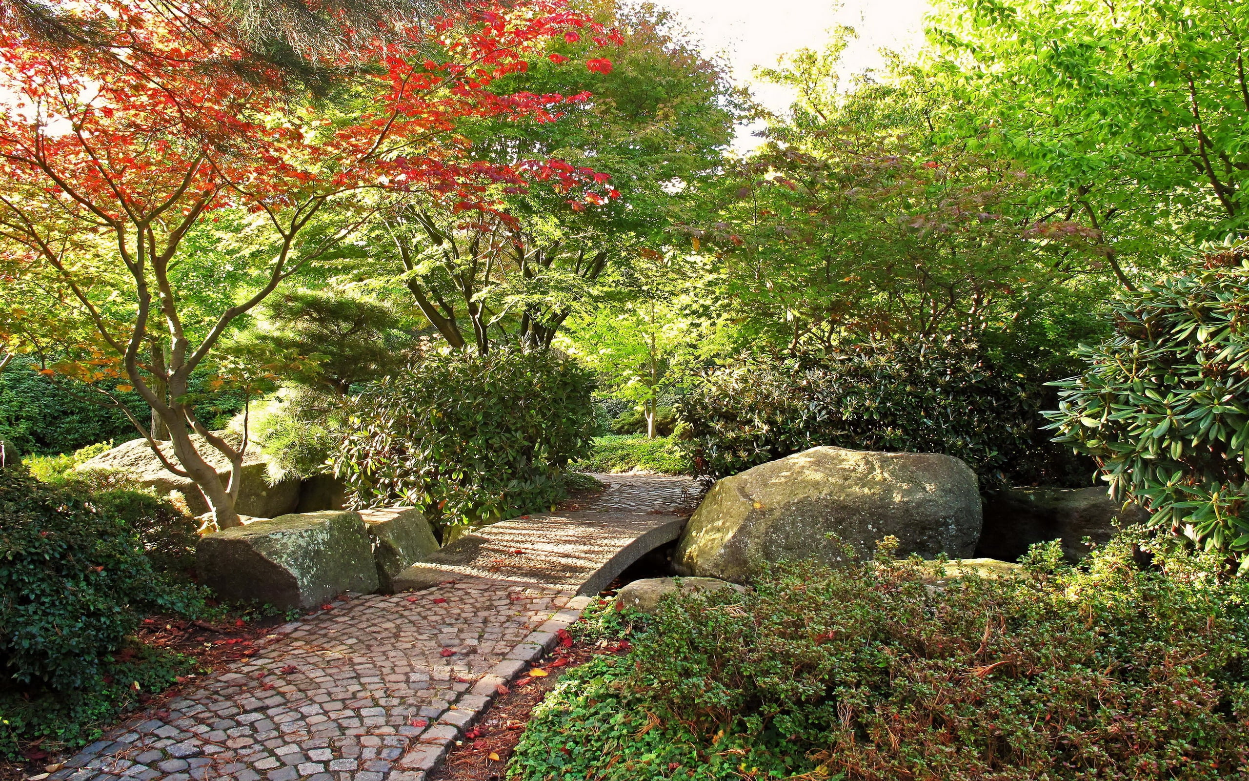 path, asia, park, flower, japanese Culture, nature, garden, japanese Garden, tranquility, tree, direction, leaf, footpath, tranquil Scene, leaves, summer, HD Wallpaper