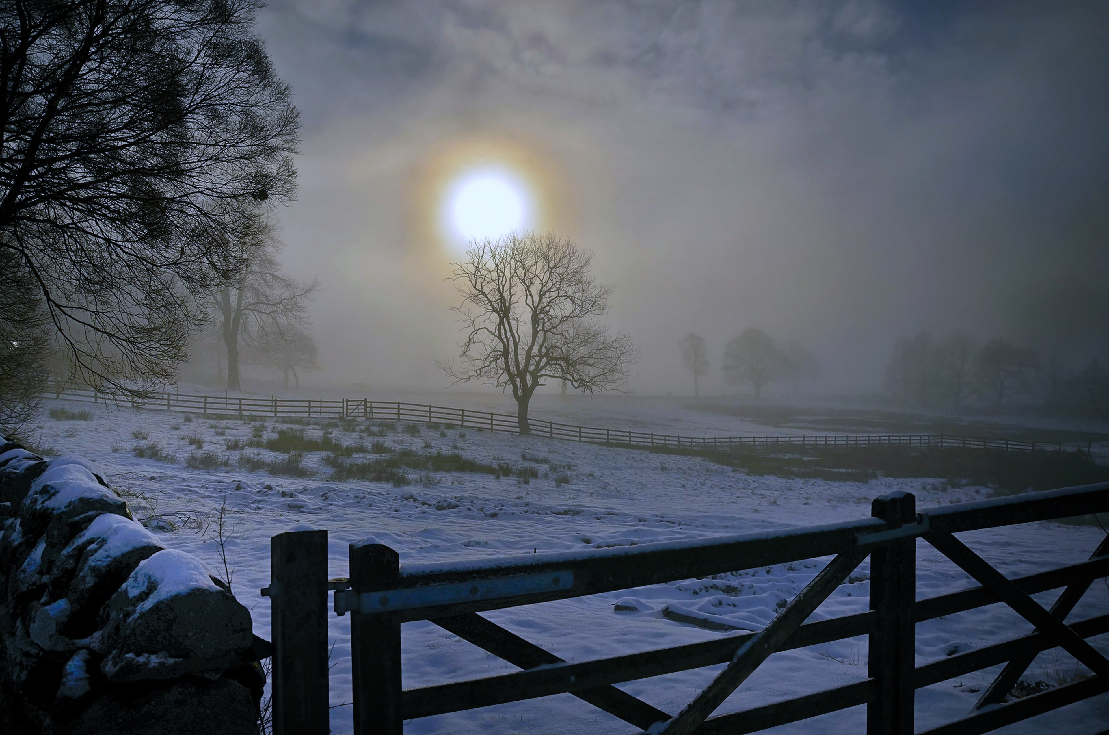 Sunrise, Snow, Tree, 4K, Earth, Keith Bannister, Countryside, Landscape, Nature, HD Wallpaper